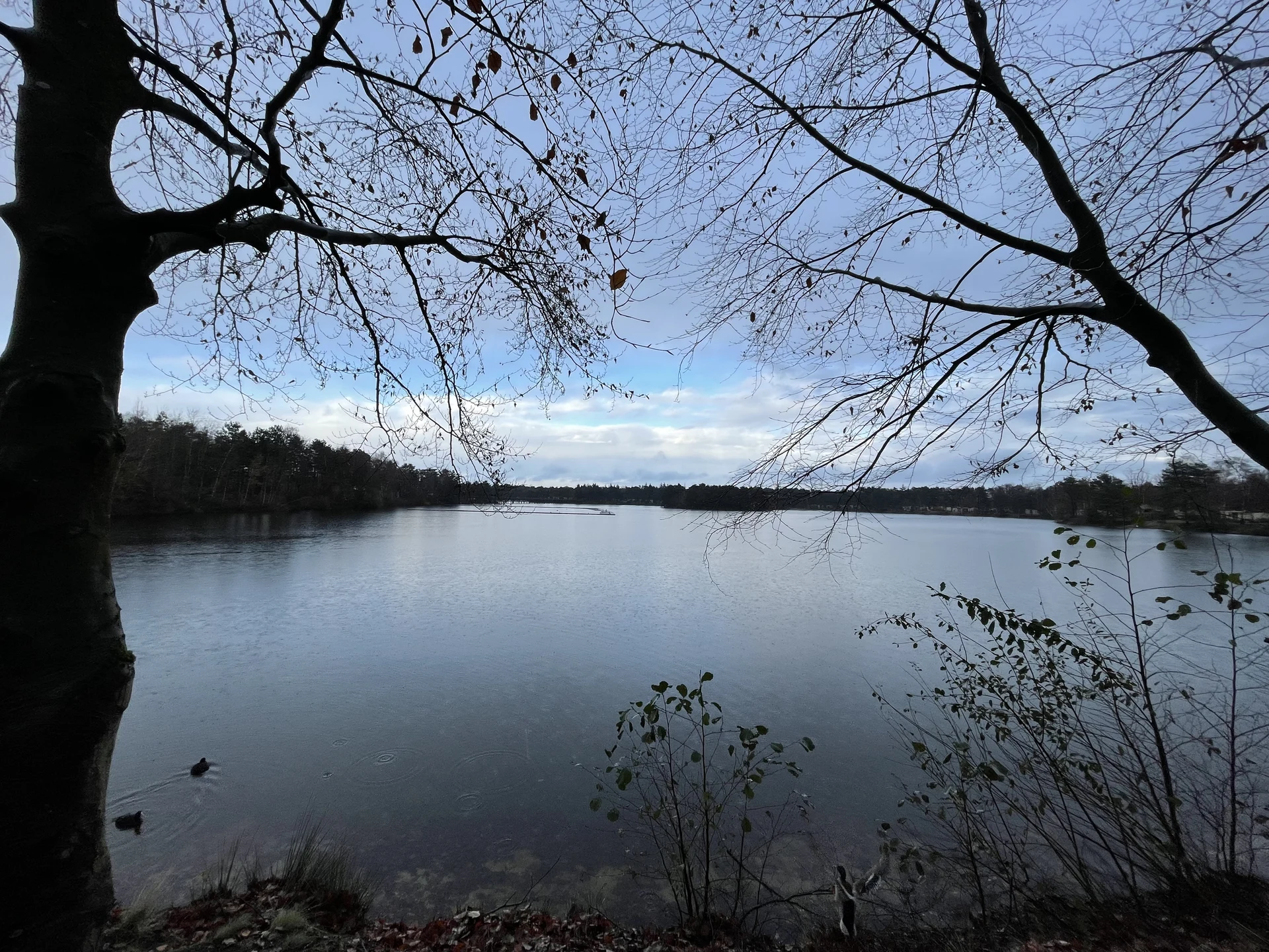 See im Center Parcs De Vossemeren am Nachmittag