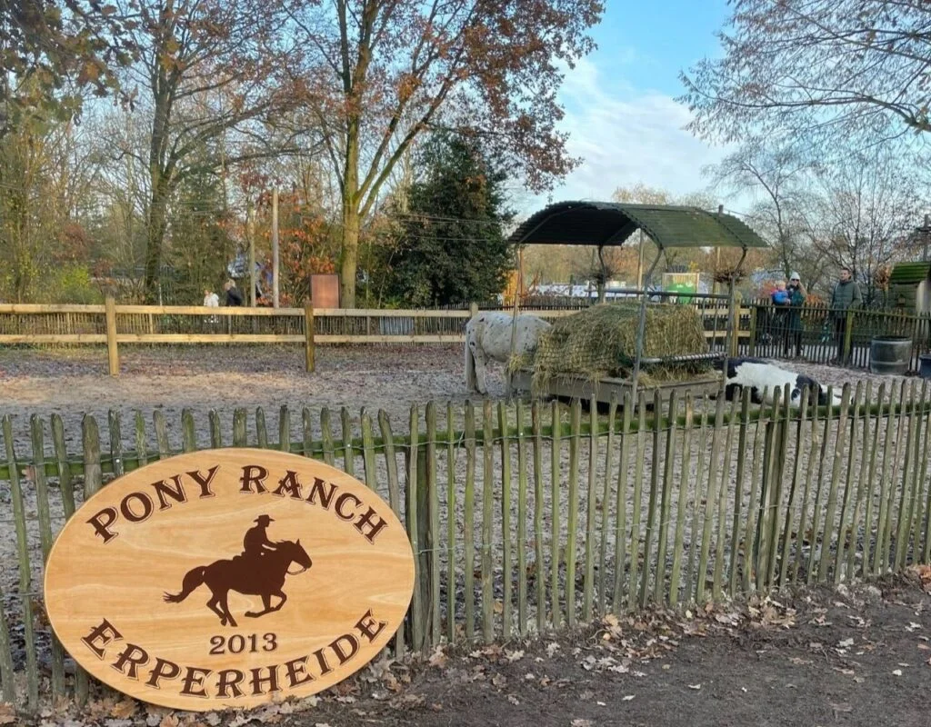 Center Parcs Erperheide Erfahrungsbericht