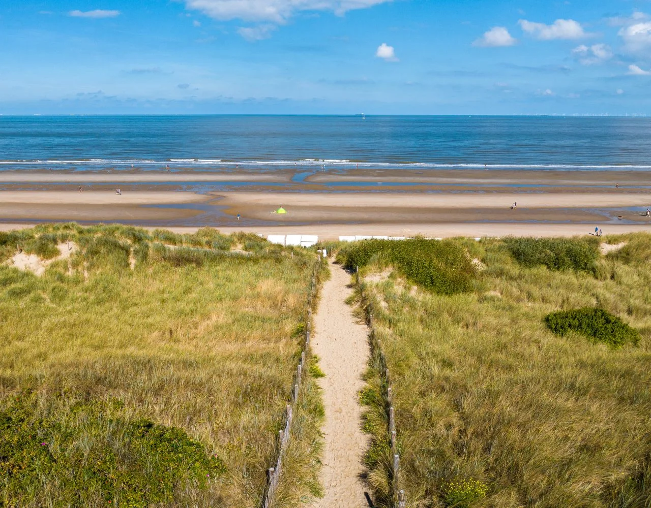 Umgebung und Dünenlandschaft am Park De Haan