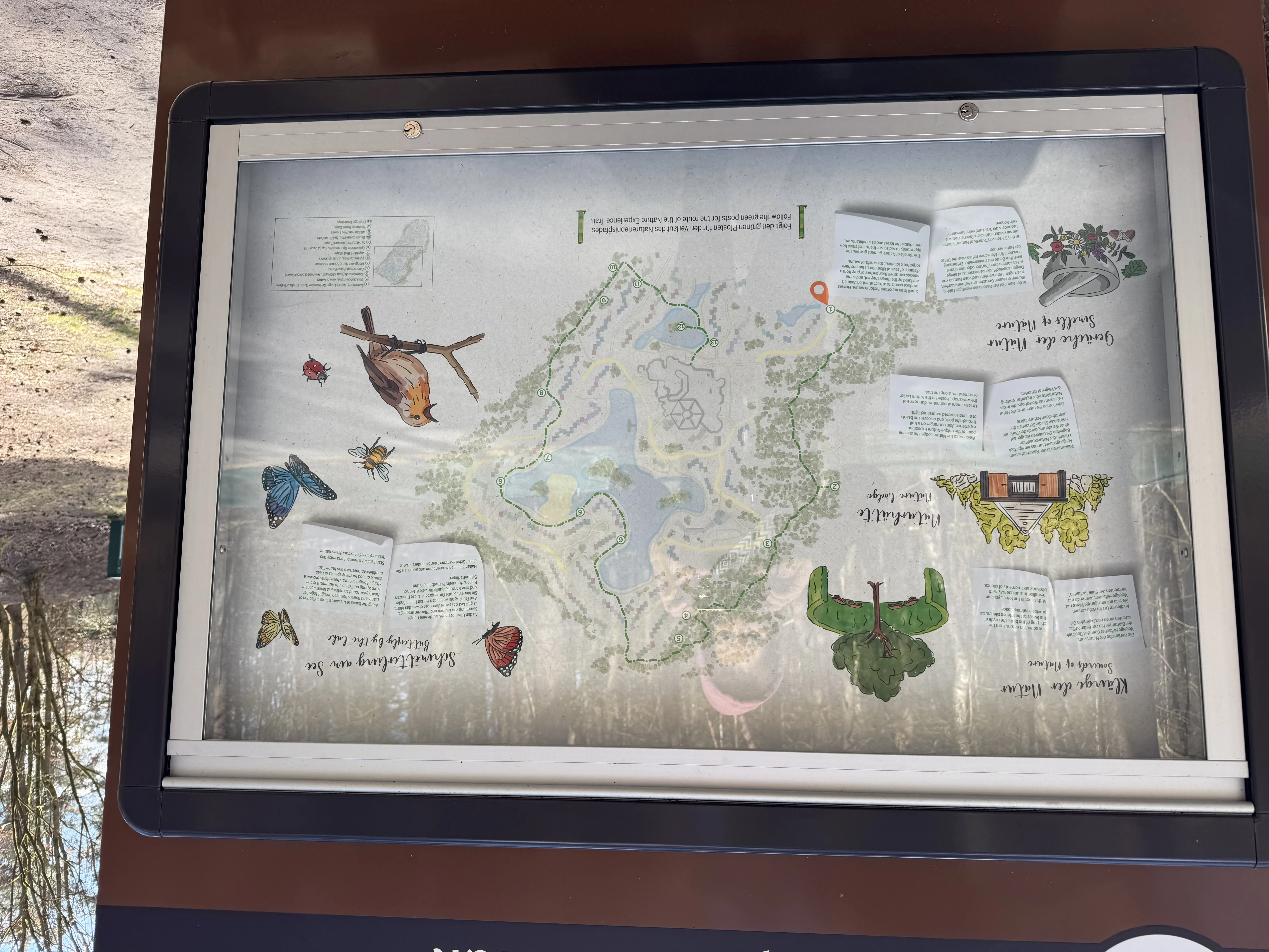 Wanderkarte rund um den Center Parcs Bispinger Heide