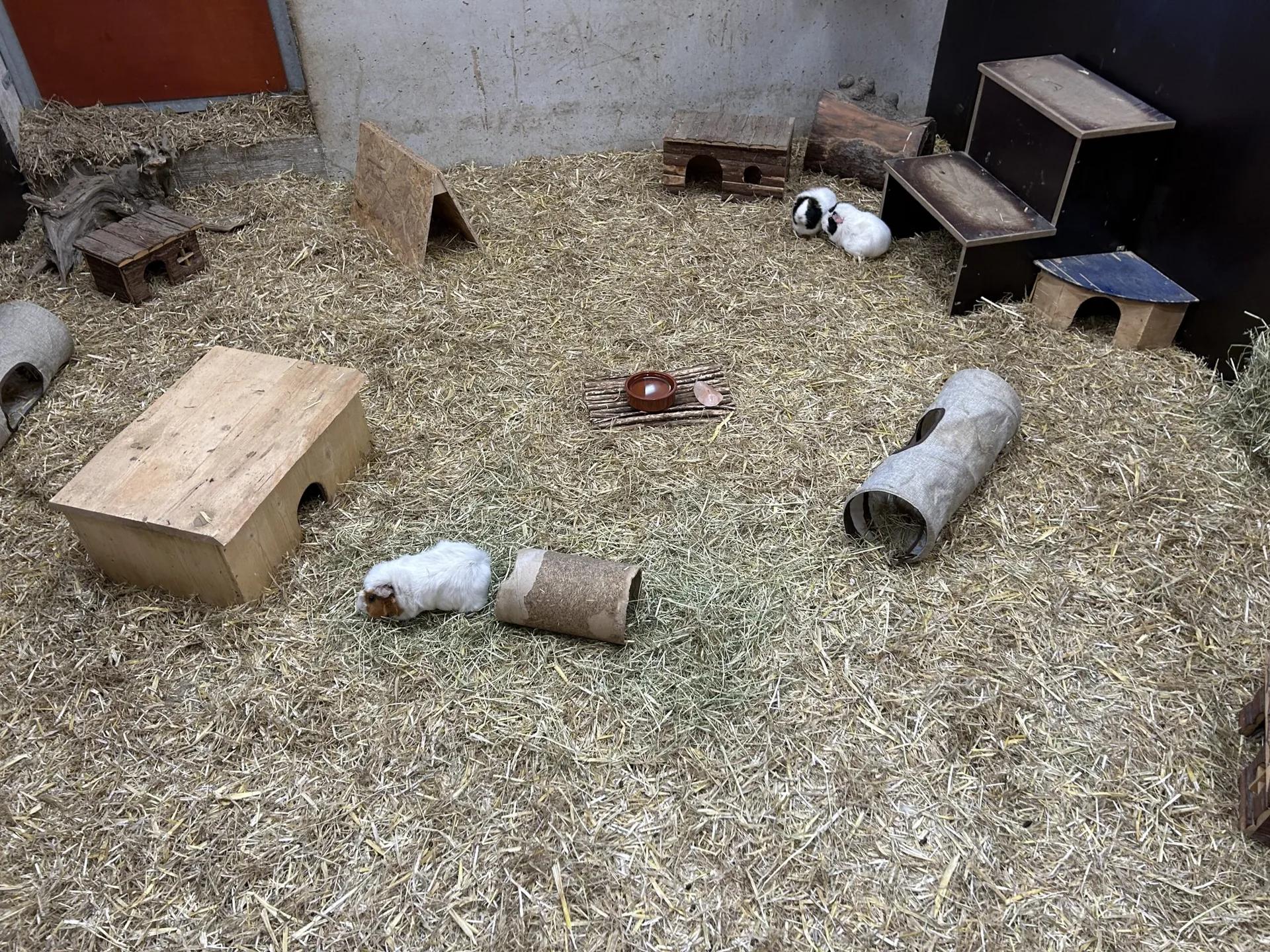 Kinderbauernhof - Tiere zum Streicheln
