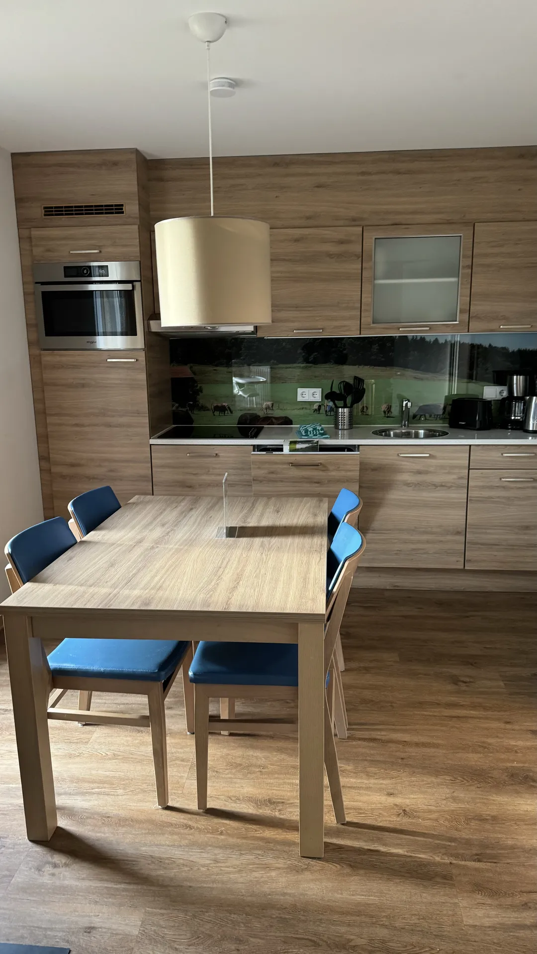 Premium Ferienhaus Details