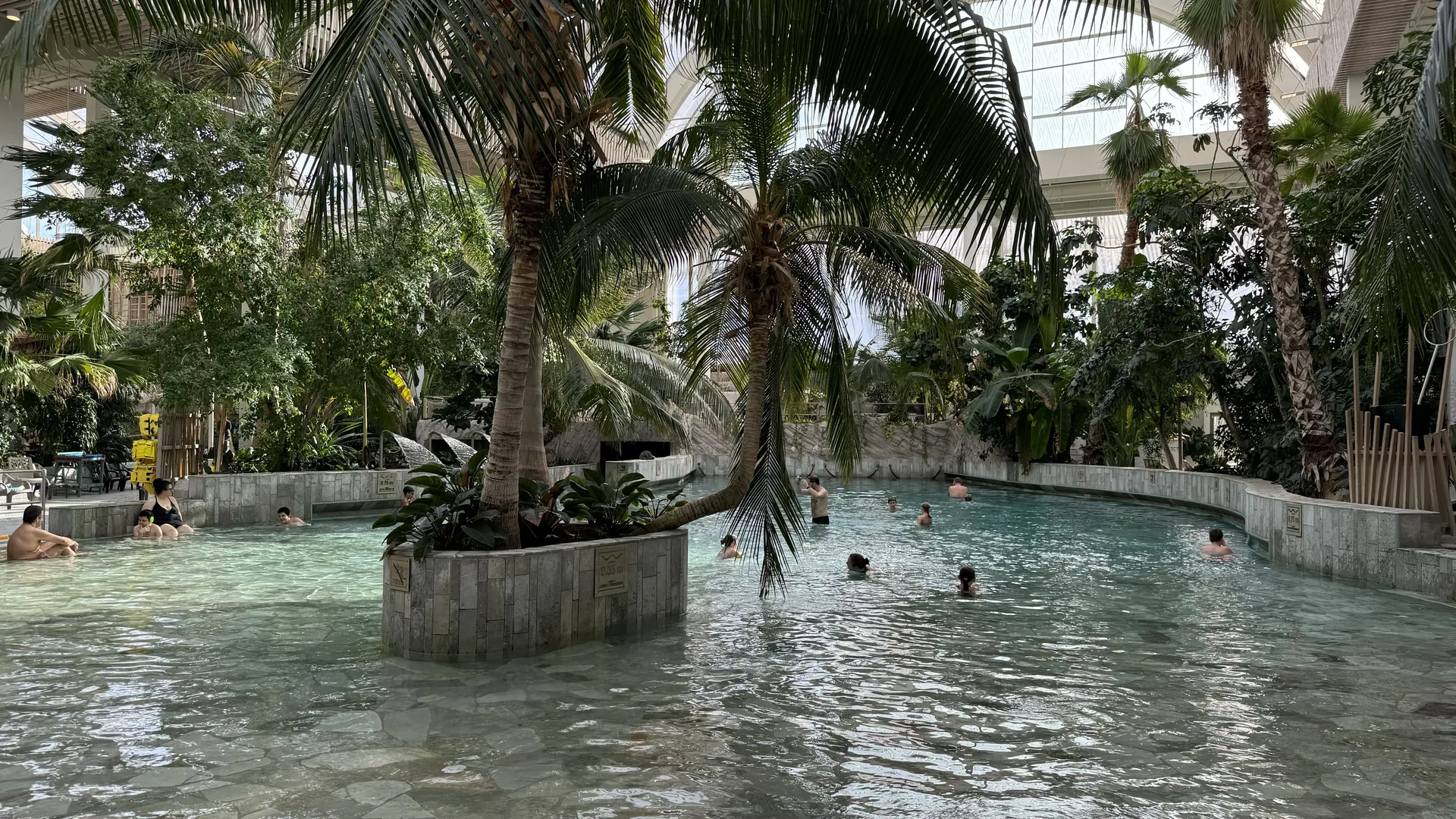 Badelandschaft mit Palmen im Aqua Mundo des Center Parcs Park Allgäu