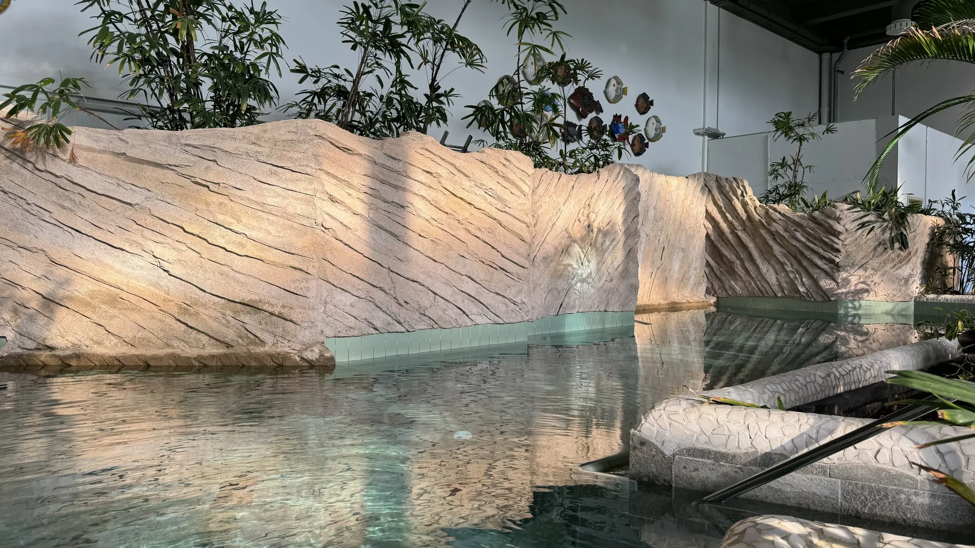 Schnorchelbecken im Aqua Mundo des Center Parcs Park Allgäu mit Felsenlandschaft und Fischmotiven
