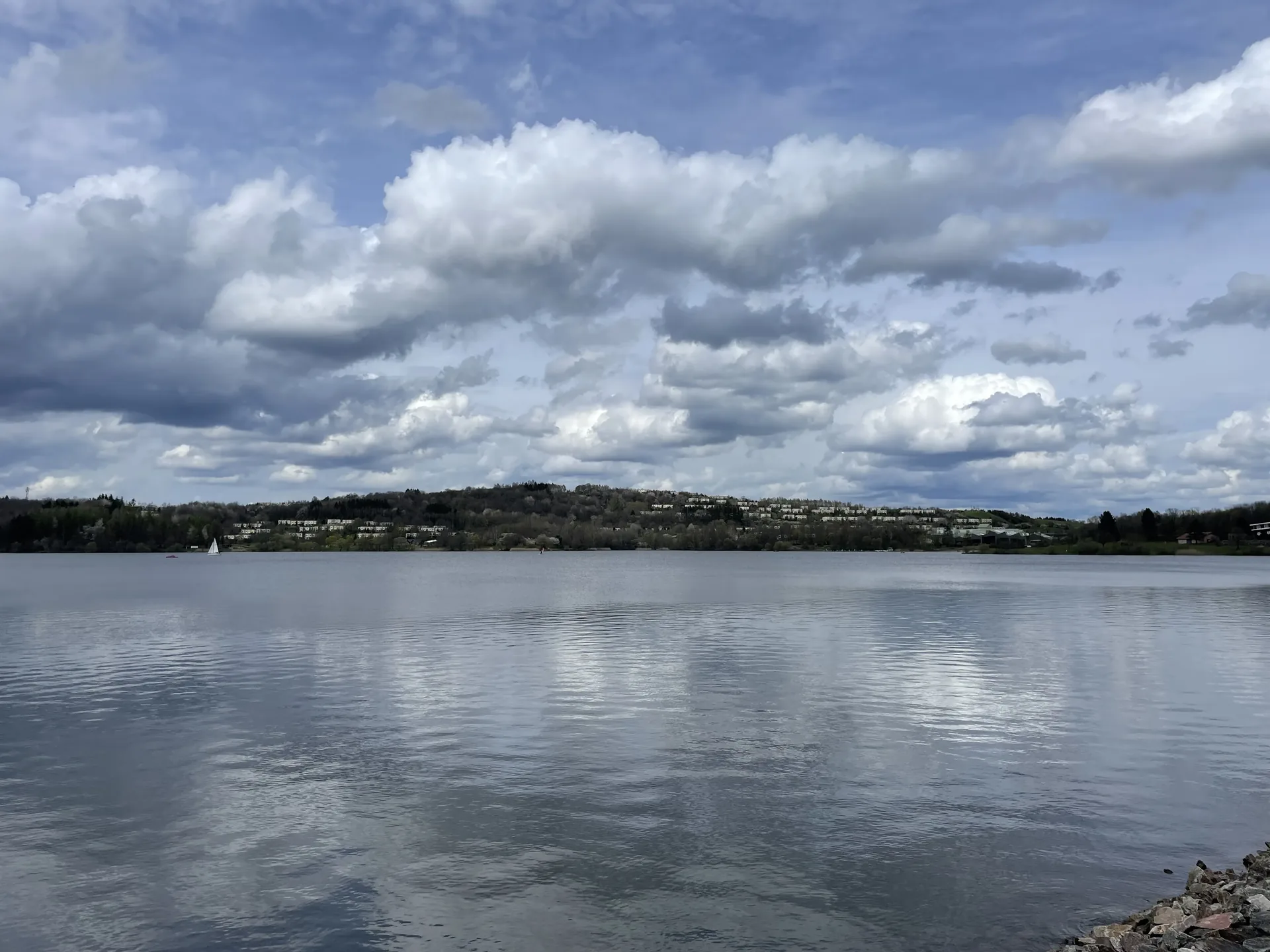 Blick vom Bostalsee auf den Center Parcs Park Bostalsee mit Ferienhäusern am Waldrand