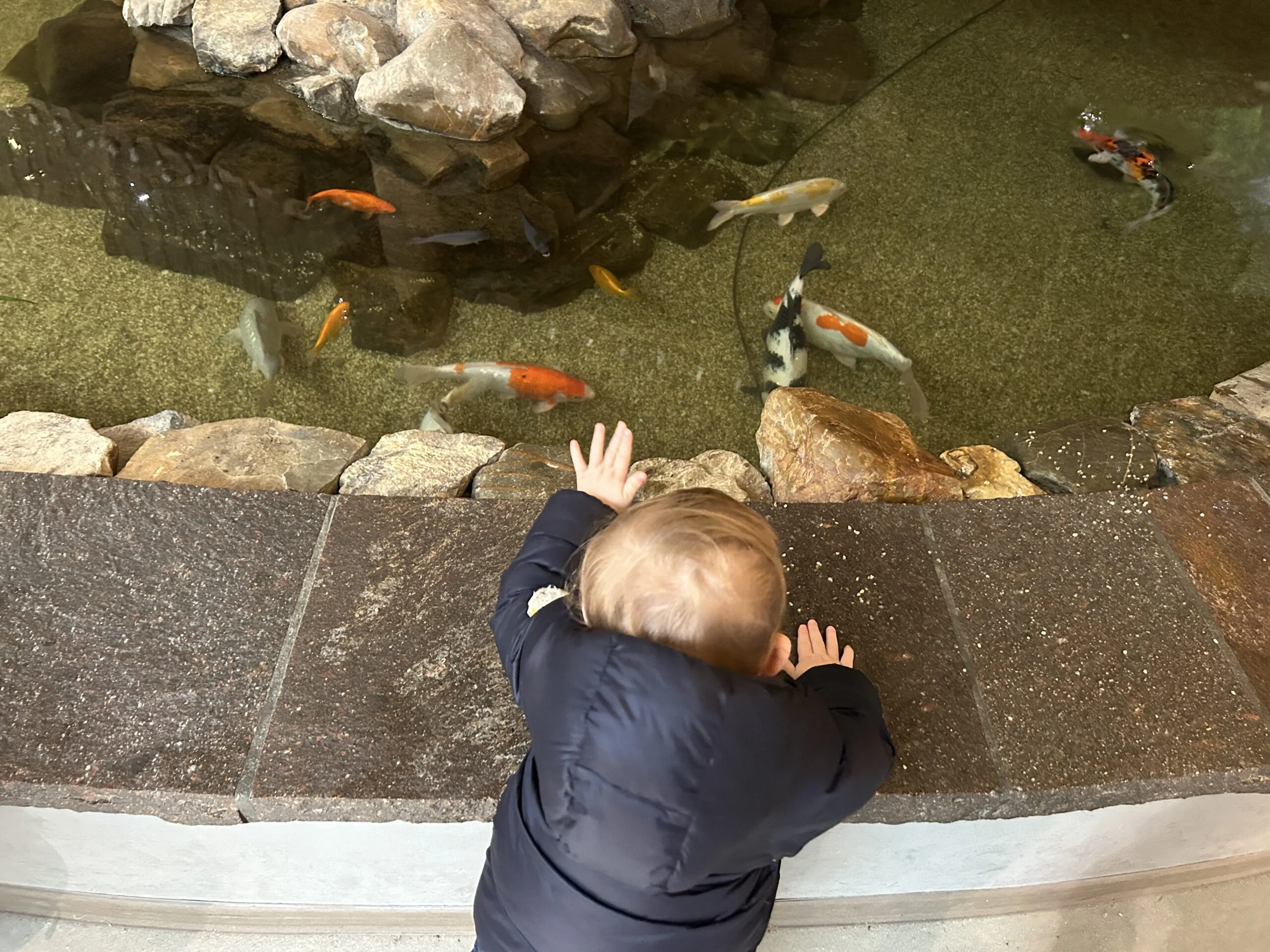 Im Market Dome mit Baby