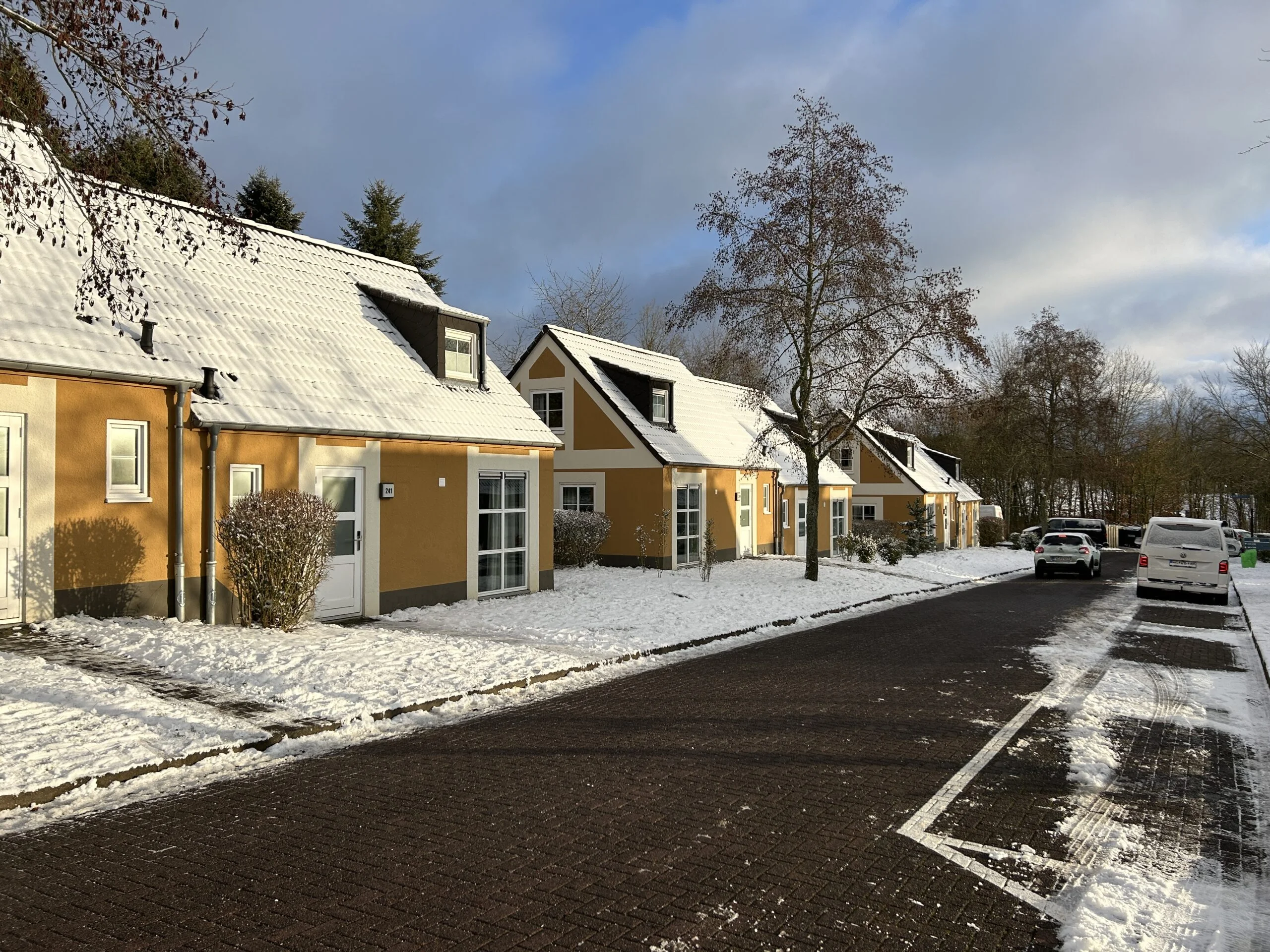 Der Park ist nicht autofrei - Autos parken an den Häusern