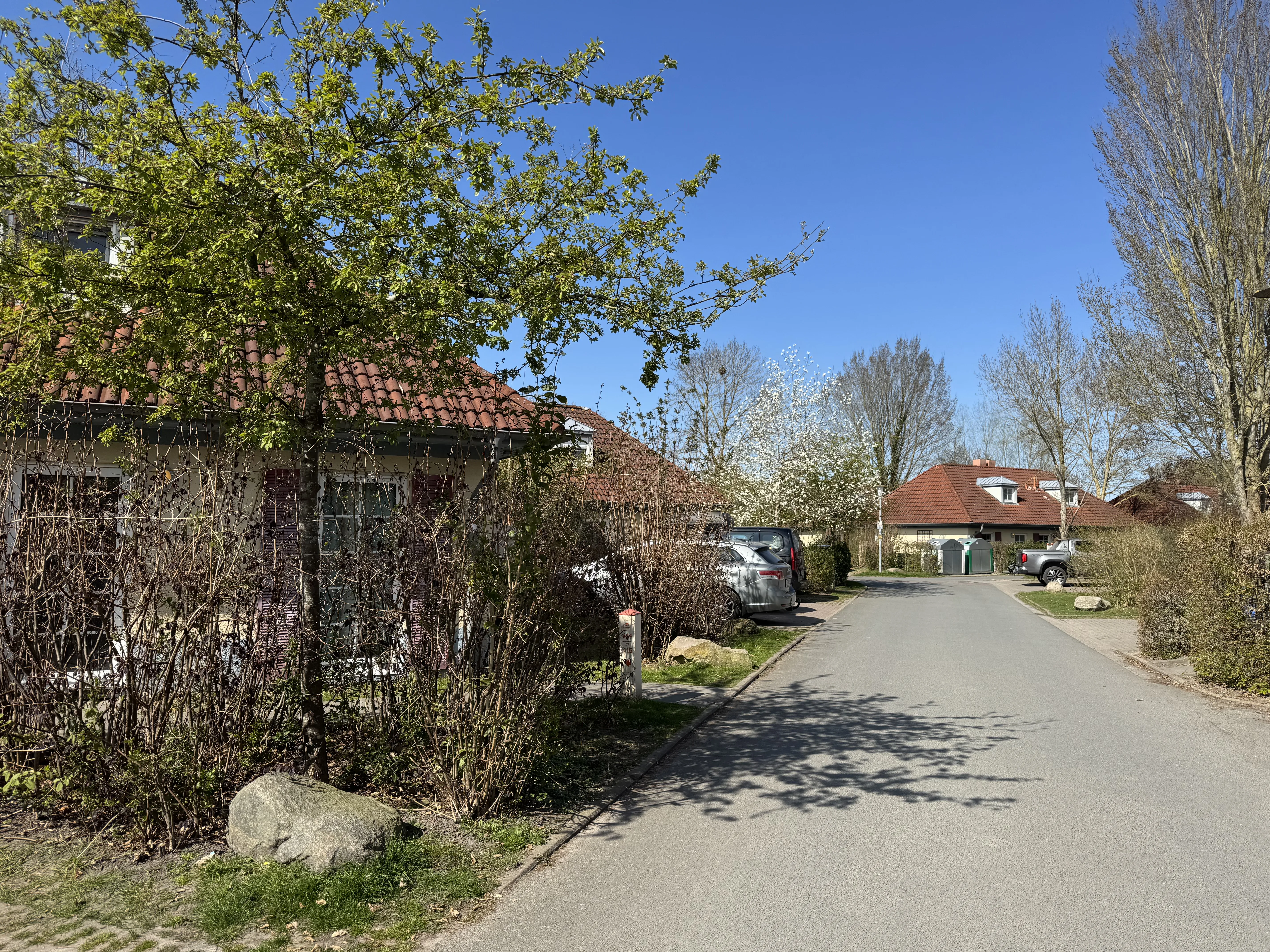 Straßen im Park – hier darf mit dem Auto gefahren werden