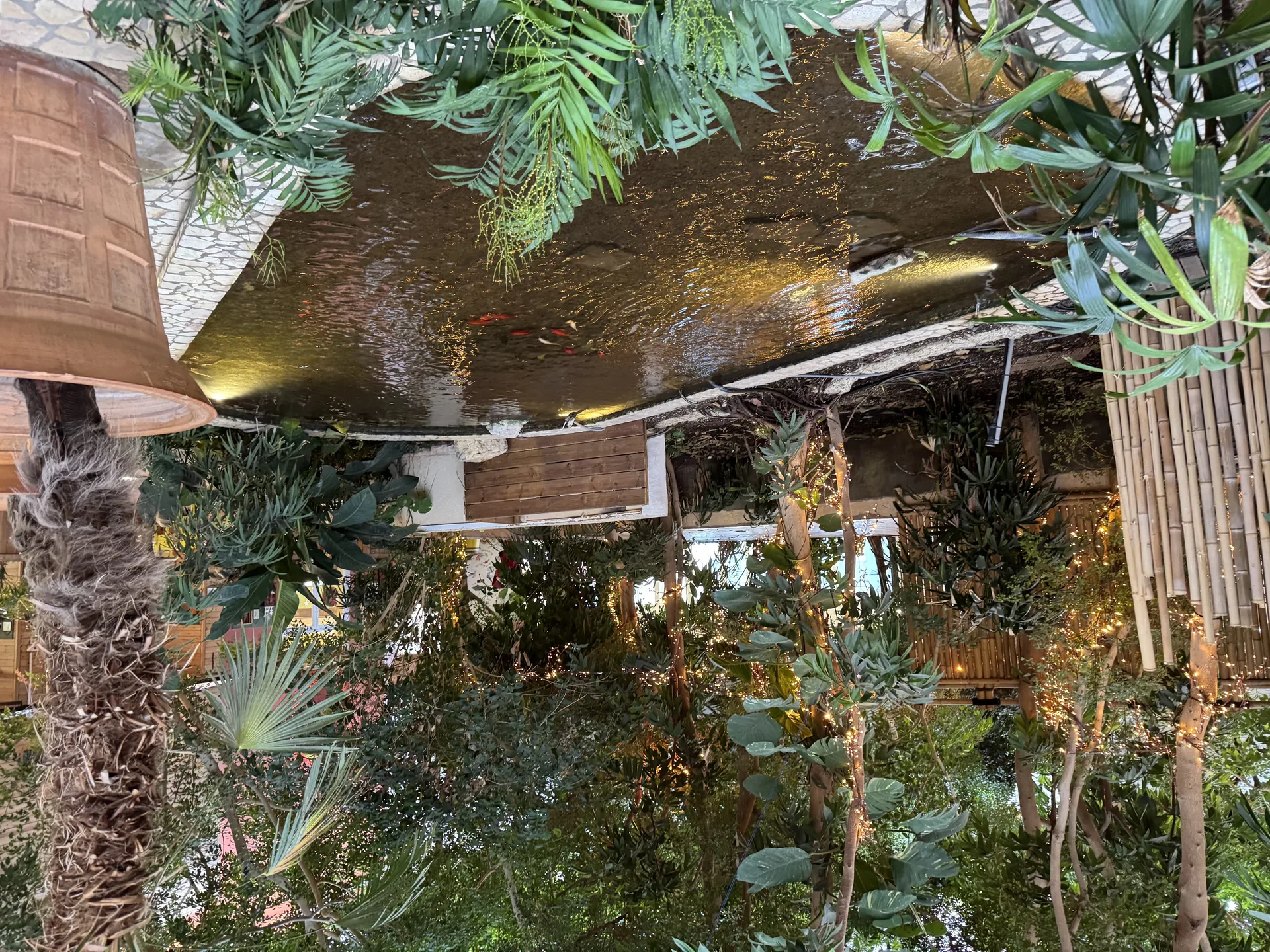 Subtropischer Innenbereich im Market Dome mit Fischbecken