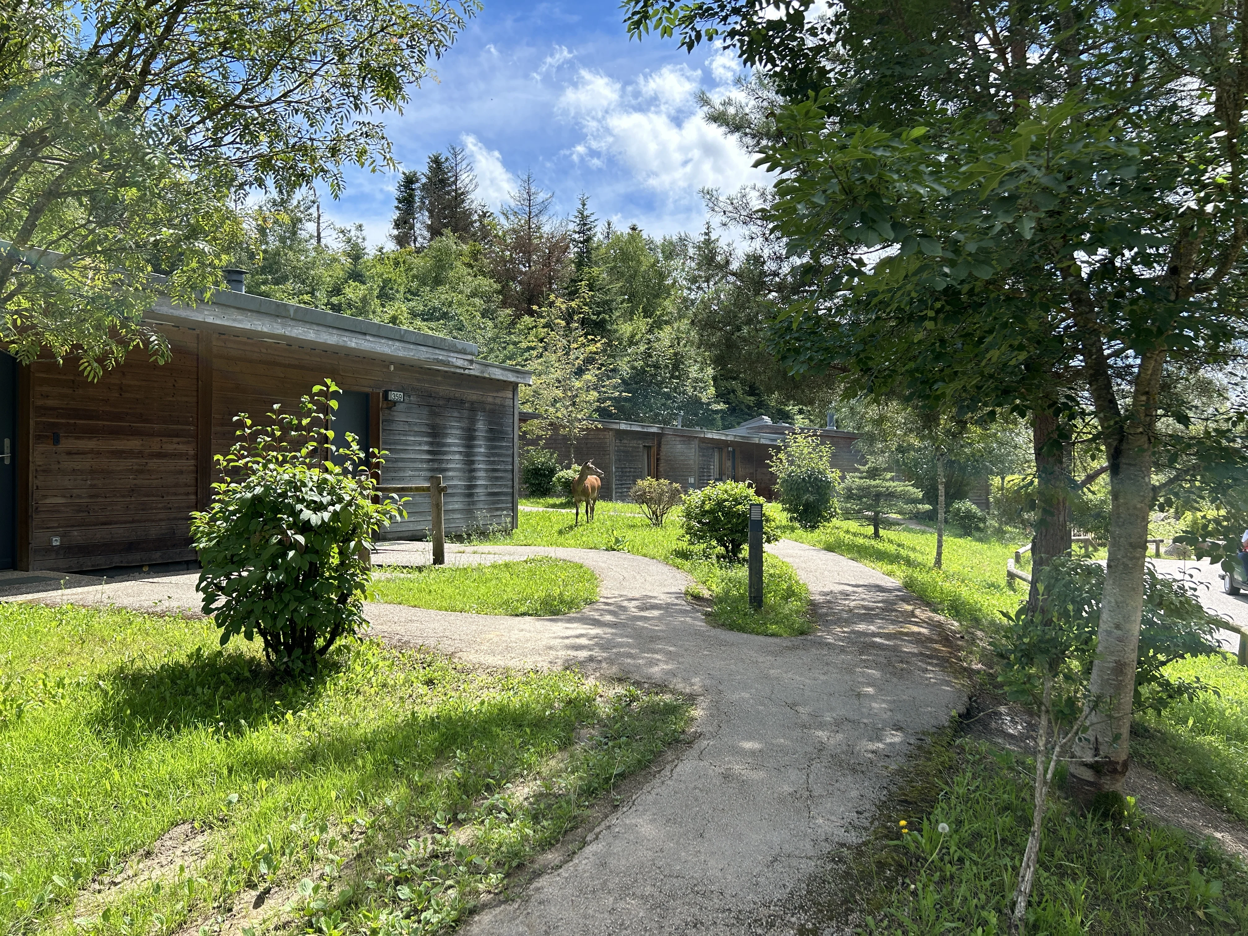 Ferienhäuser im Center Parcs Les Trois Forêts mit Blick in den Wald