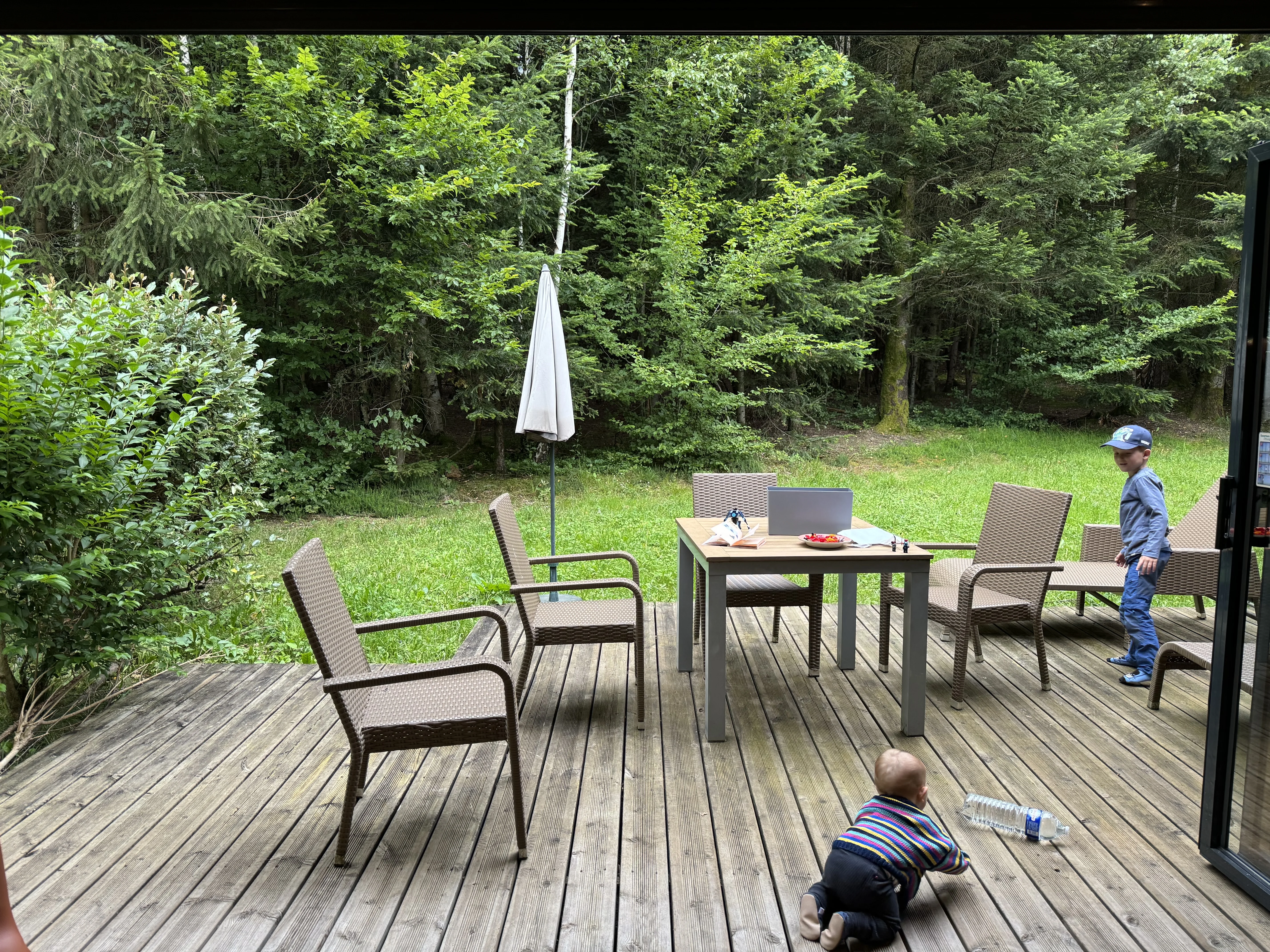 Ferienhaus mit Blick in den dichten Wald