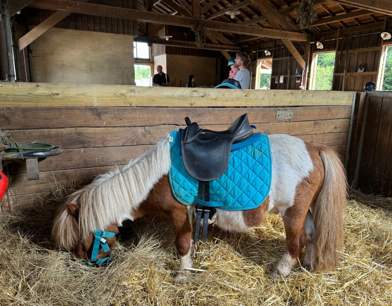 Die Highlights im Center Parcs Les Trois Forêts – Erlebnisbauernhof