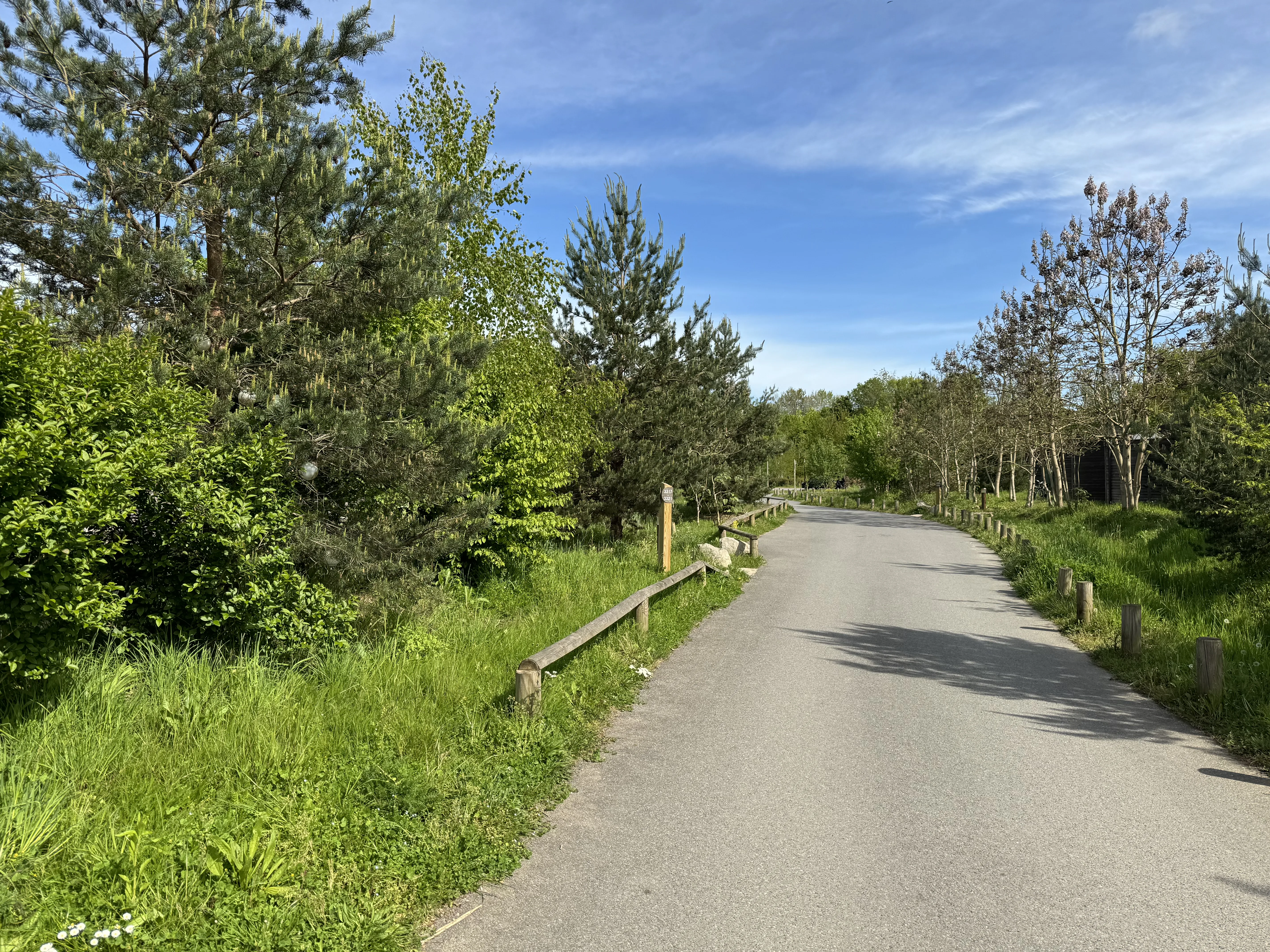 Die Fußwege im Park