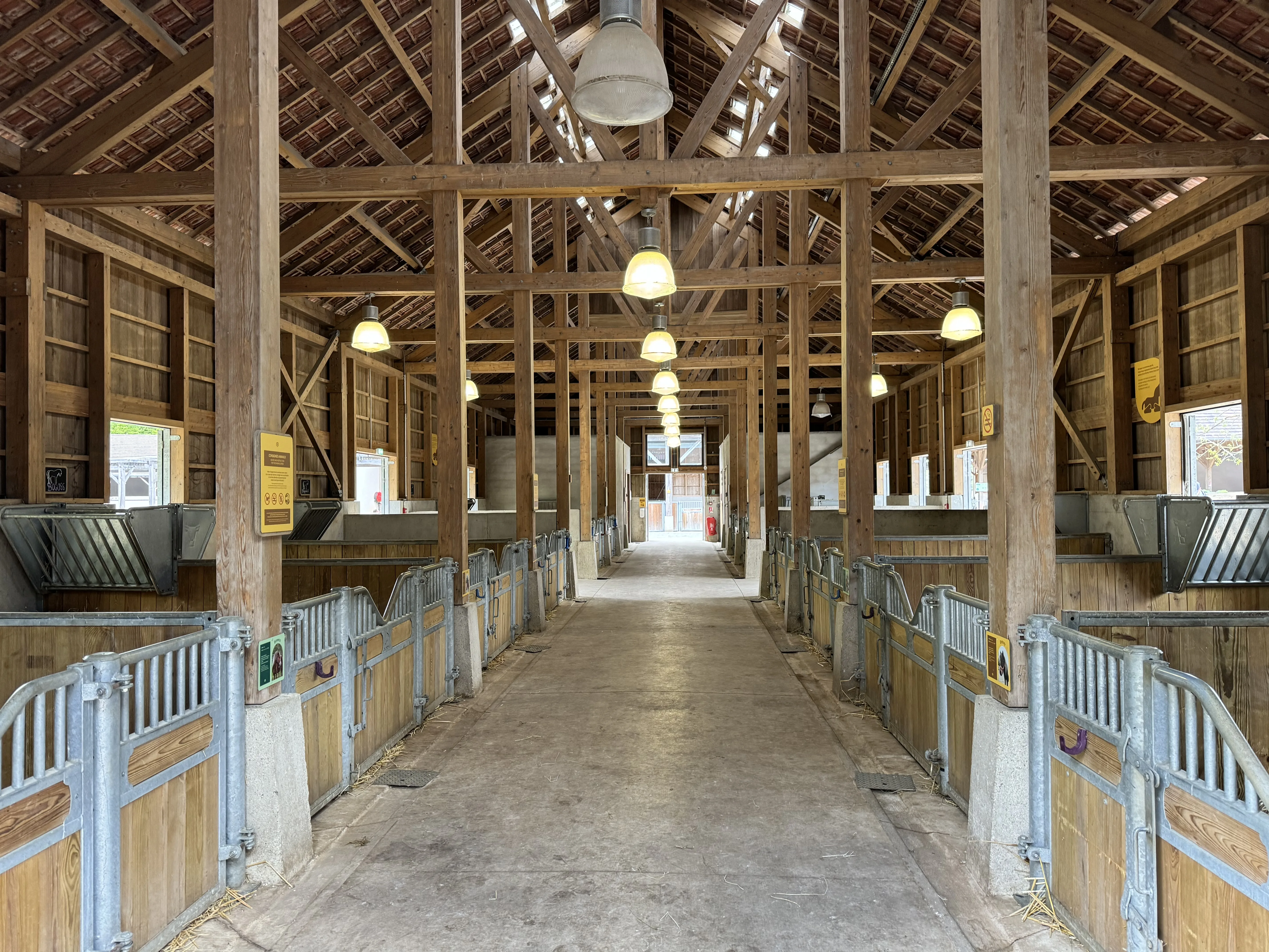 Schafe und Ziegen zum Streicheln und Füttern