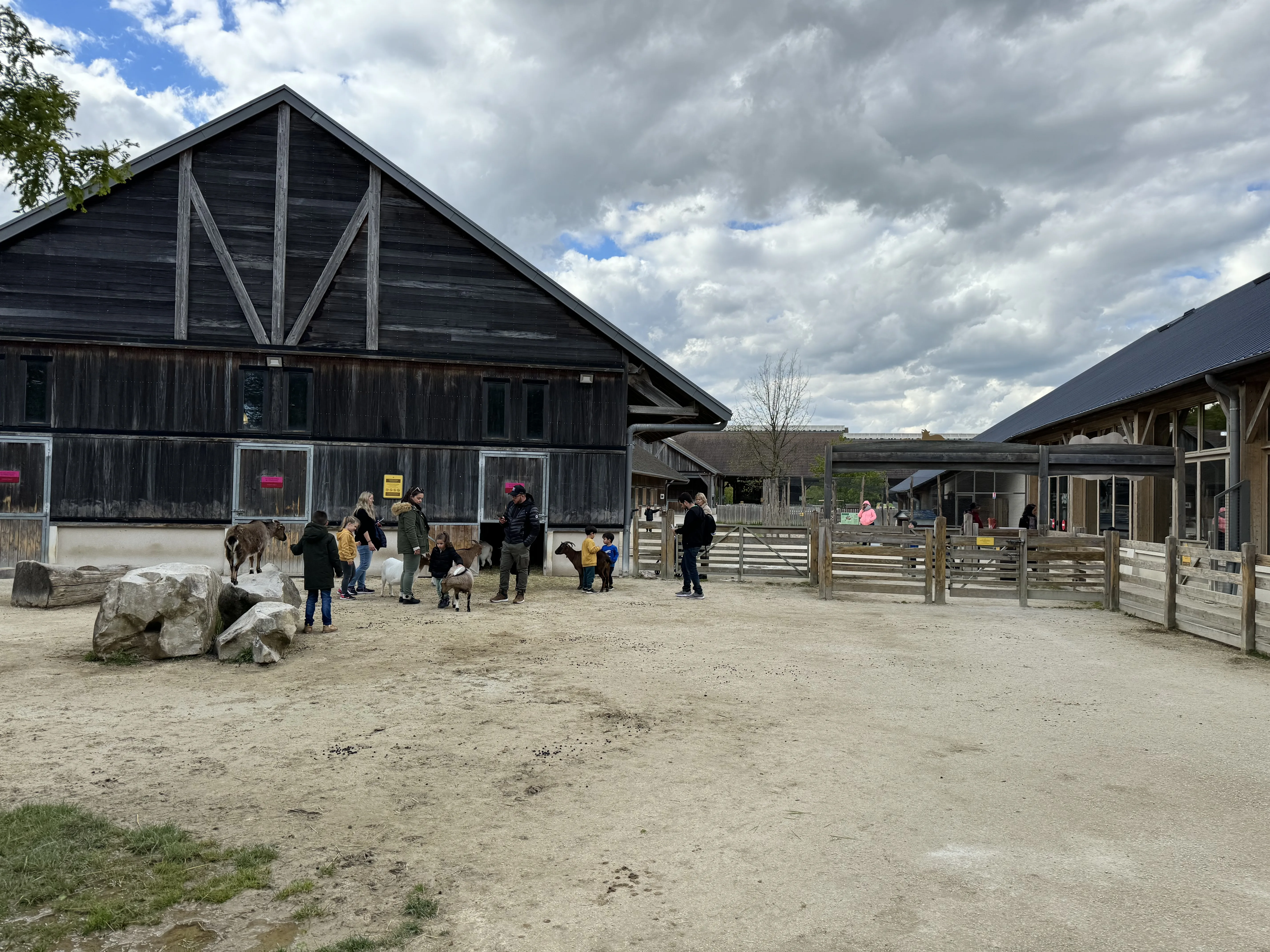 Die Ziegen sind besonders zutraulich