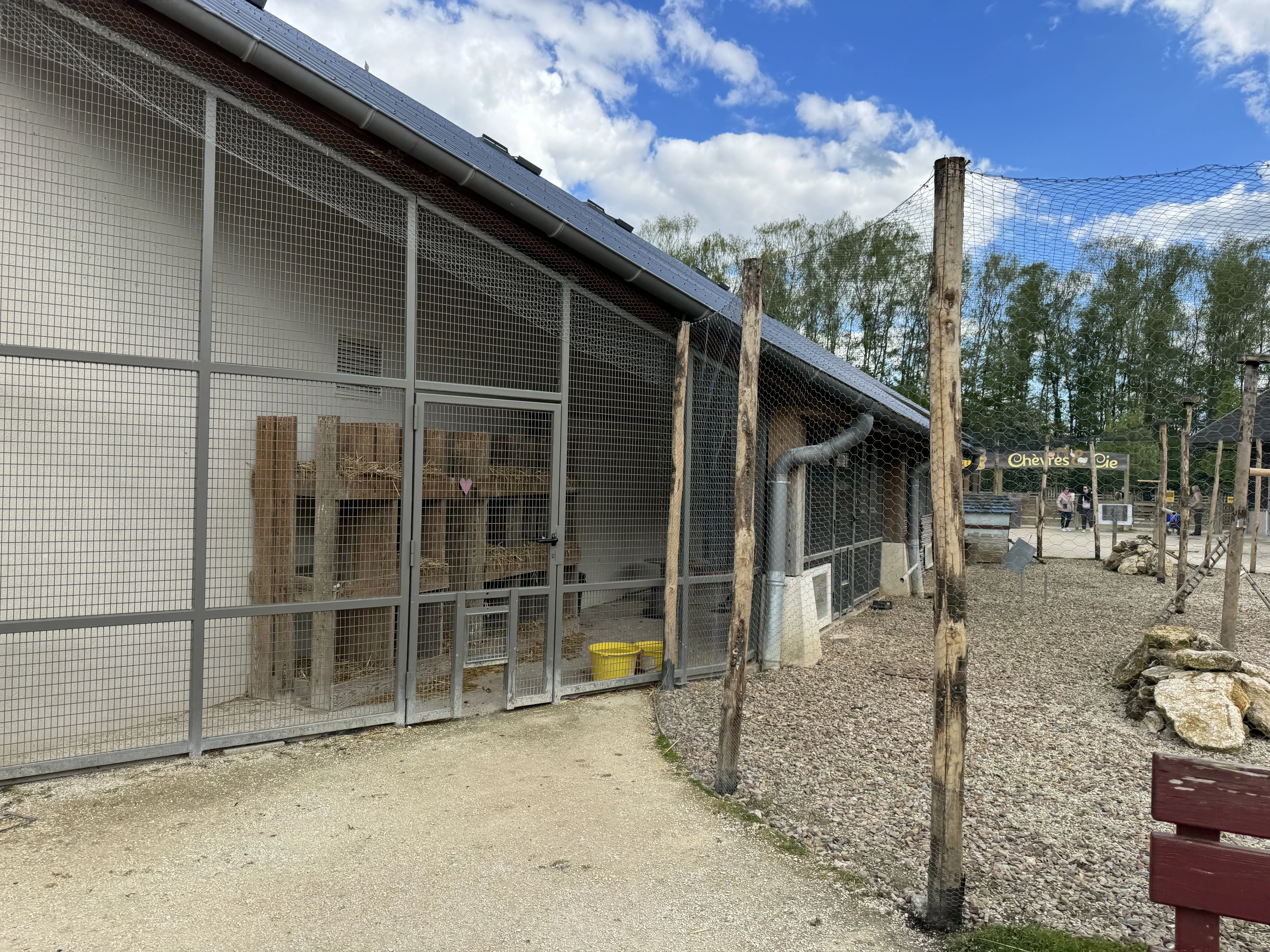 Im Streichelzoo können Kinder die Tiere hautnah erleben