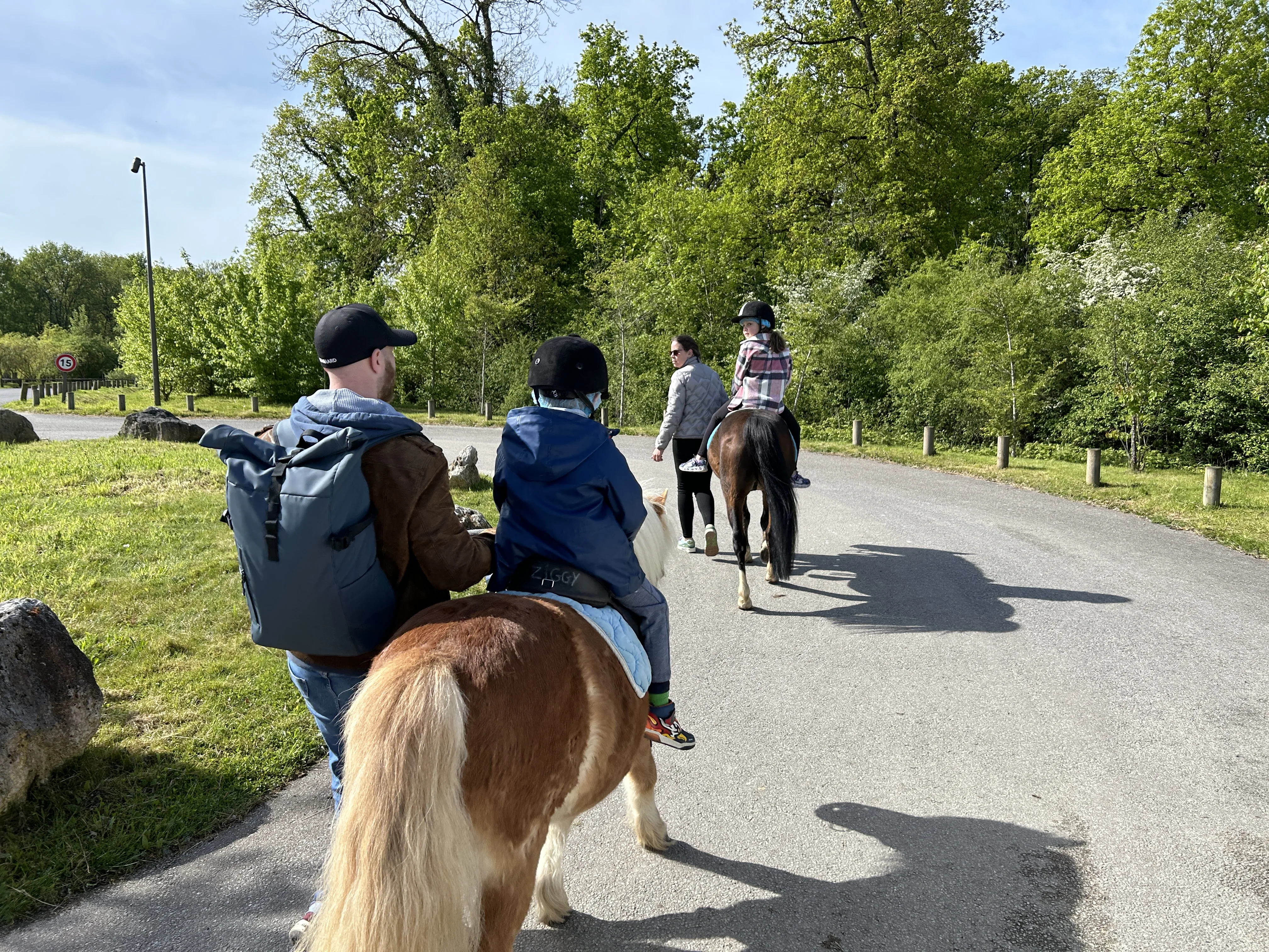 Ponys warten auf kleine Reiter