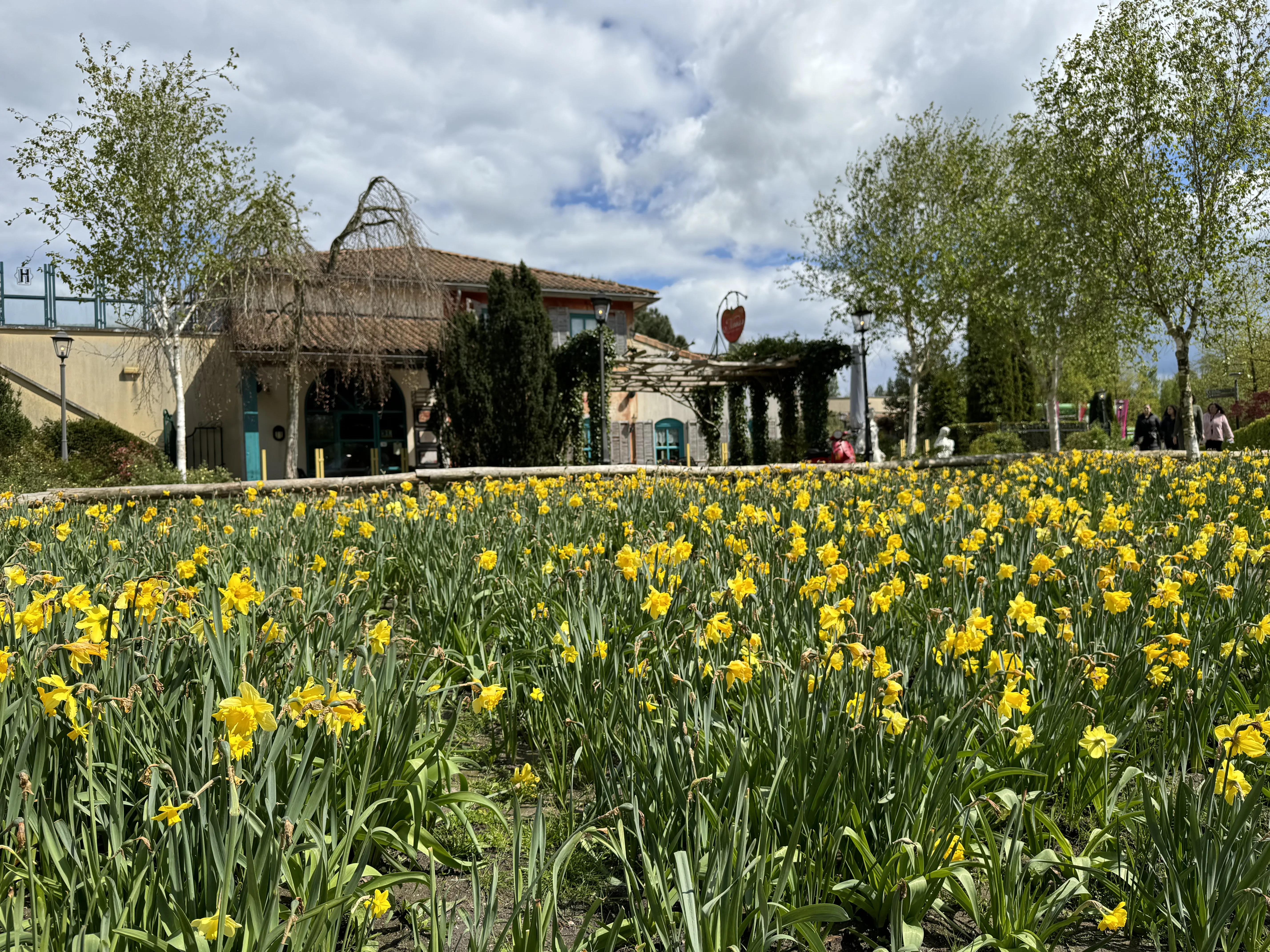 Die gepflegte Anlage im Frühling – alles sattgrün