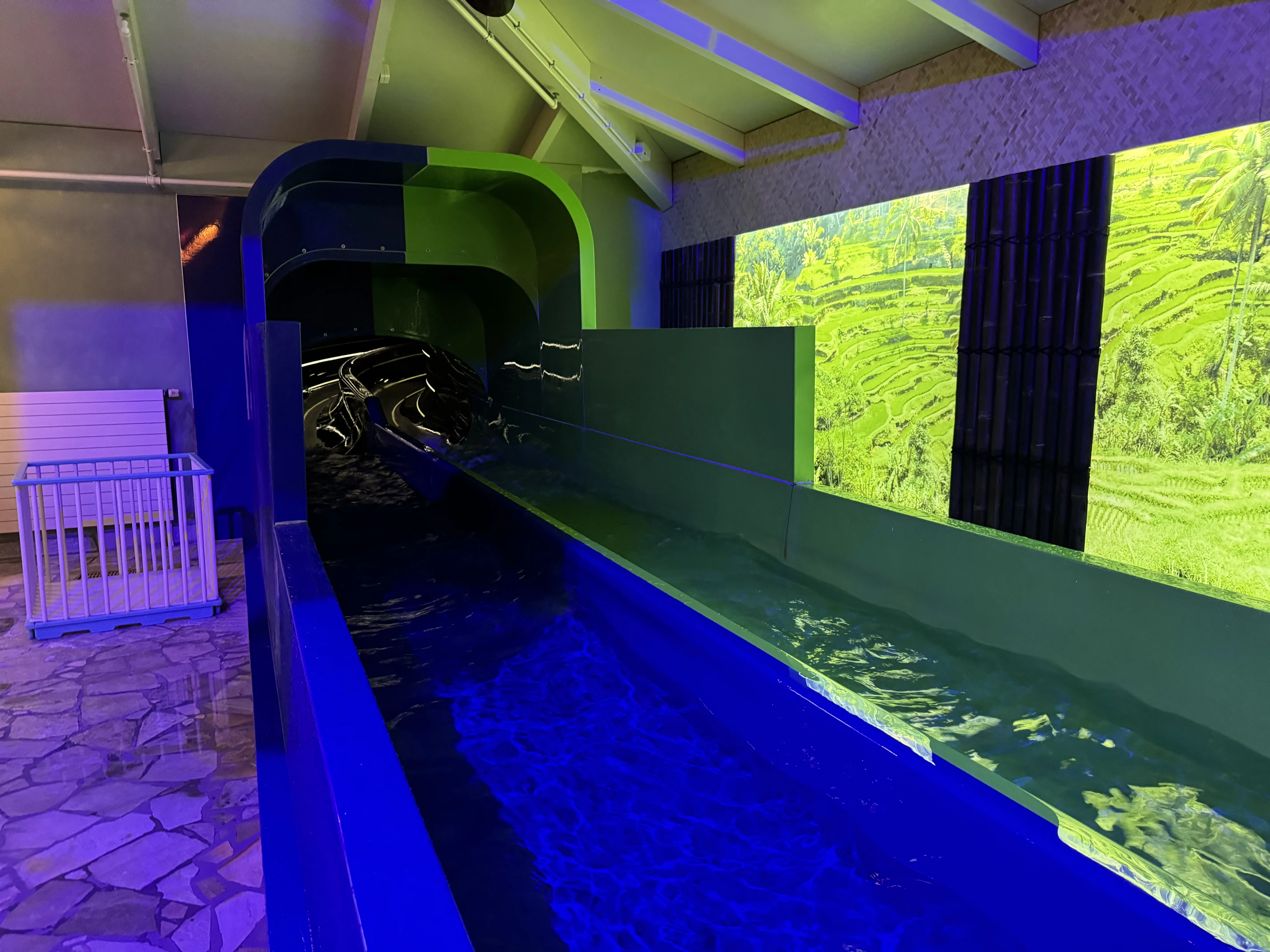 Der Ausstieg der Duo Racer Rutschen – blau beleuchtet mit tropischen Wandbildern
