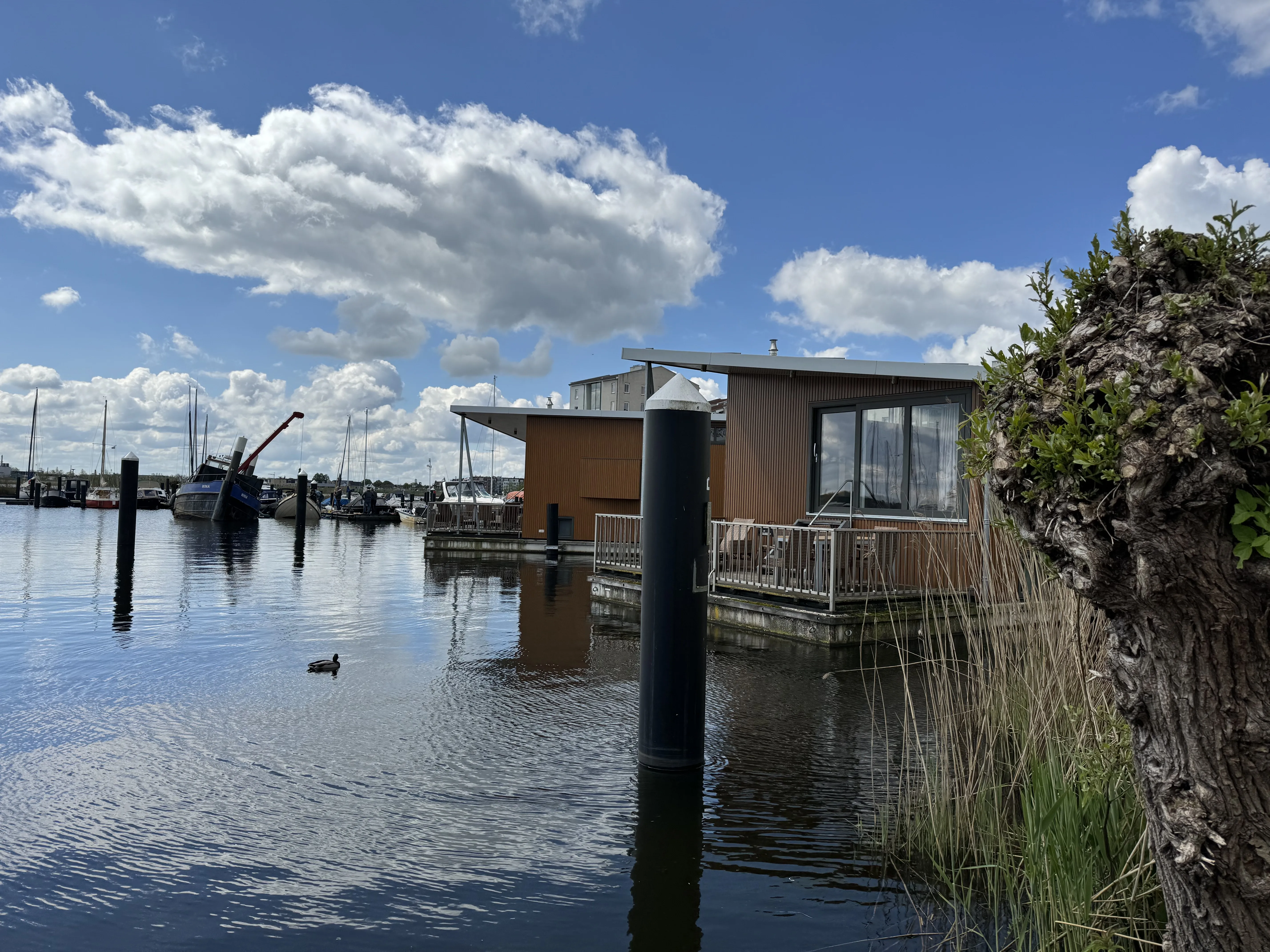 Die Hausboote in der Marina