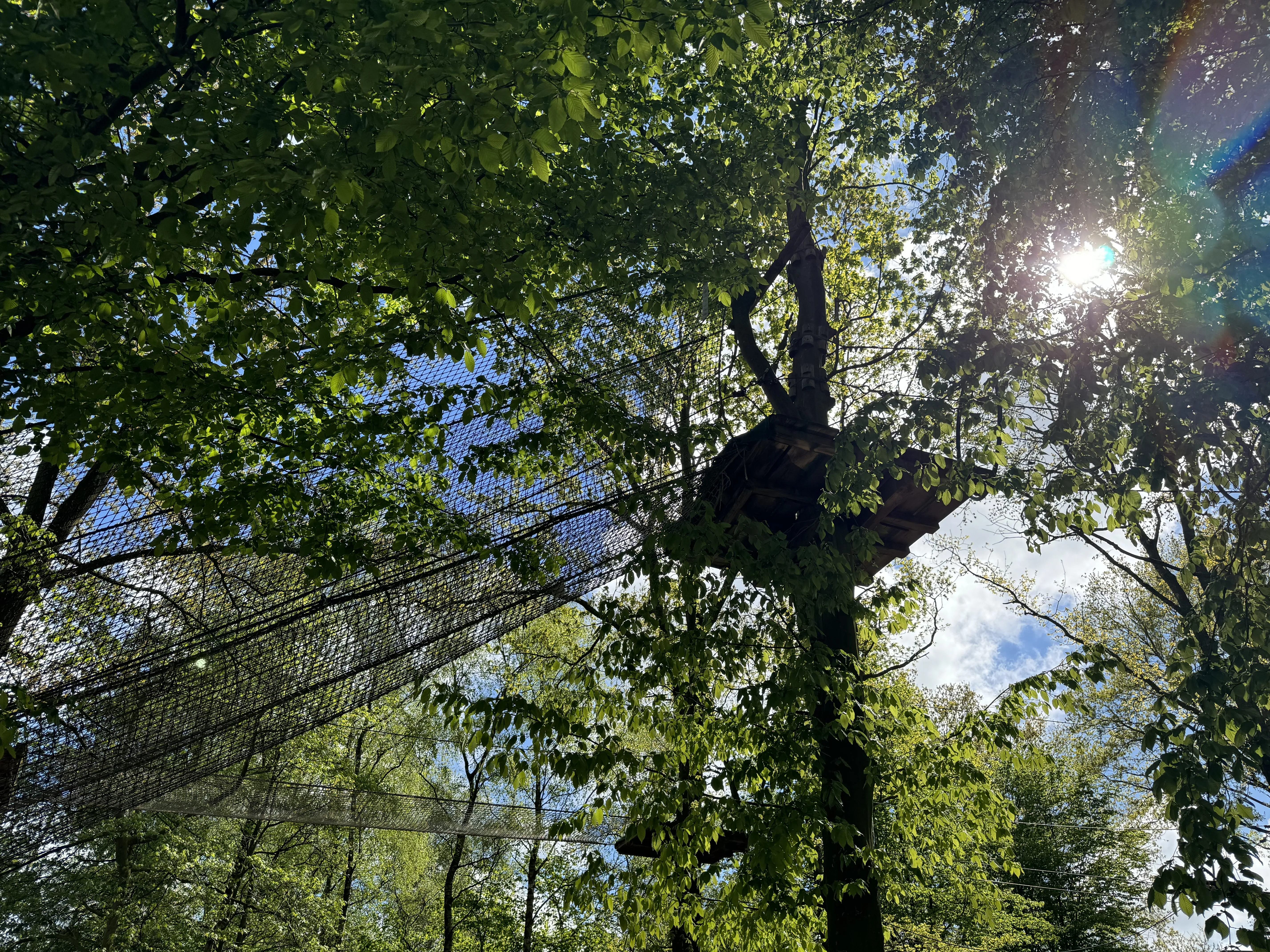 Der Klettergarten neben der Action Factory