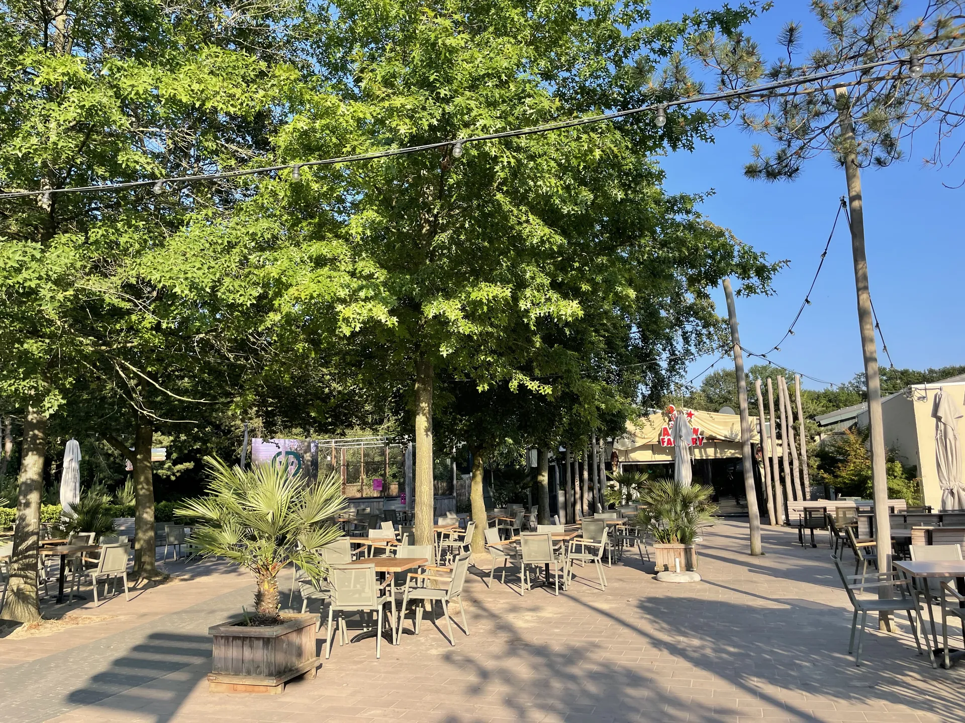 Das Factory Café im Het Heijderbos mit Außenterrasse zwischen Bäumen