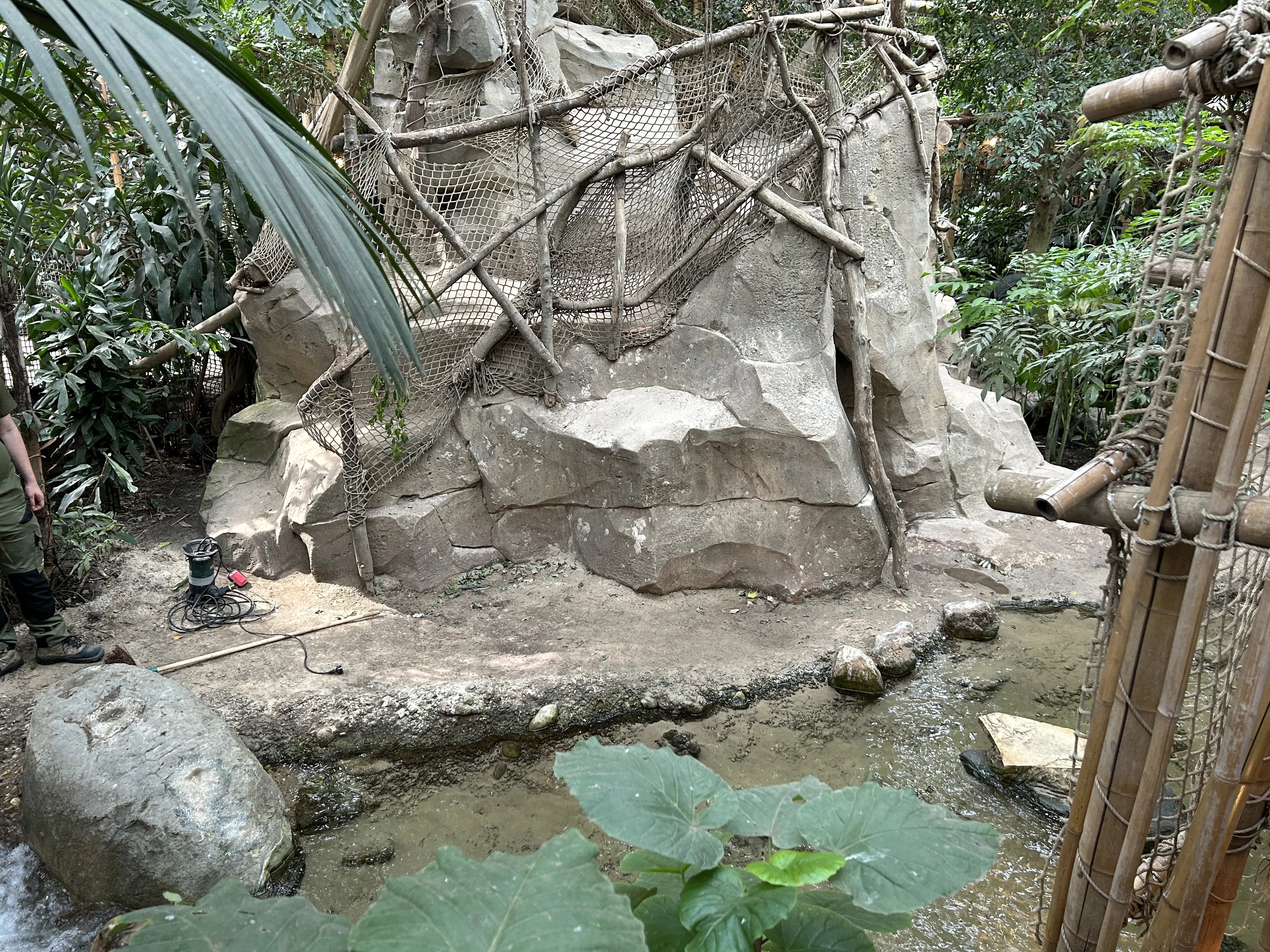 Der Jungle Dome – eine tropische Indoor-Landschaft mit echtem Bachlauf
