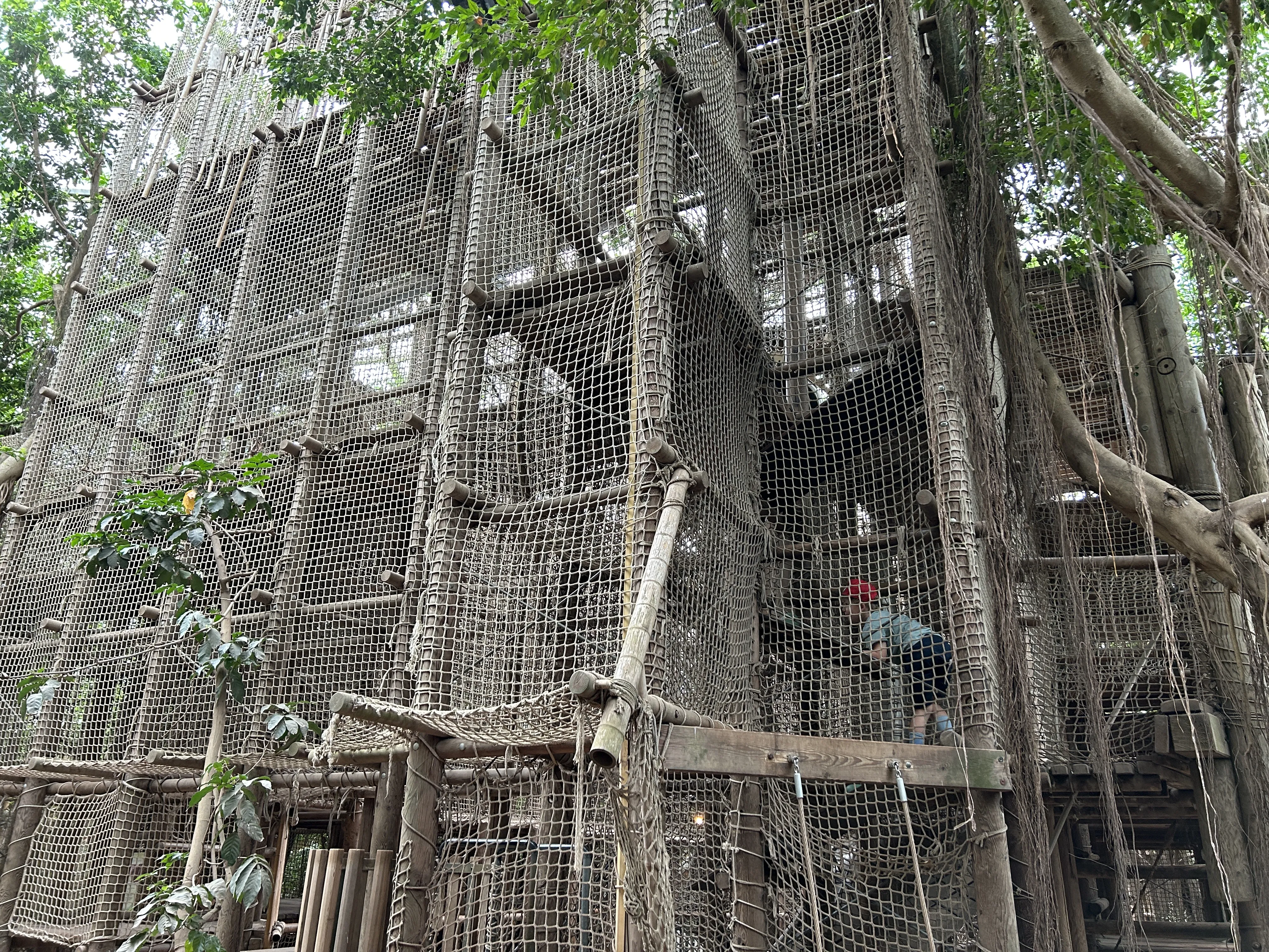 Überblick über den Jungle Dome mit seiner üppigen Bepflanzung