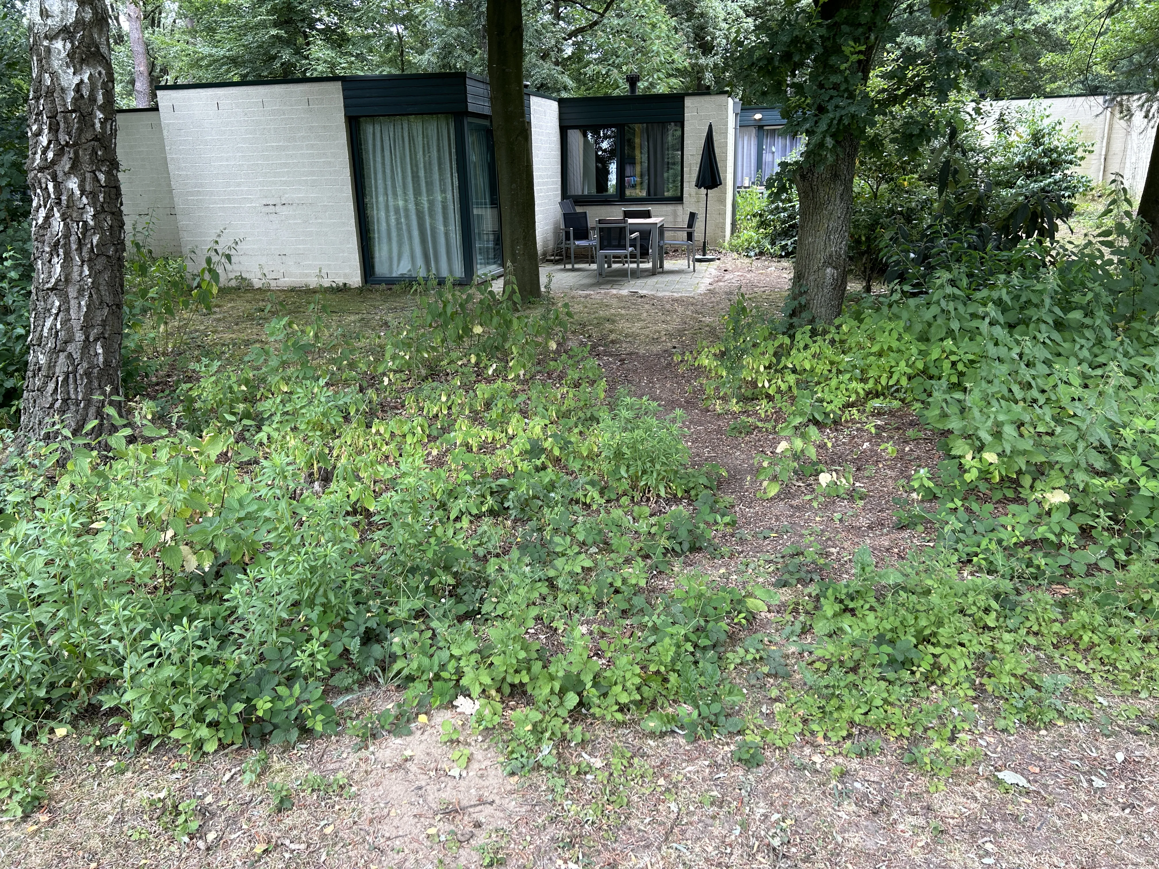 Premium-Ferienhaus Terrasse im Het Heijderbos