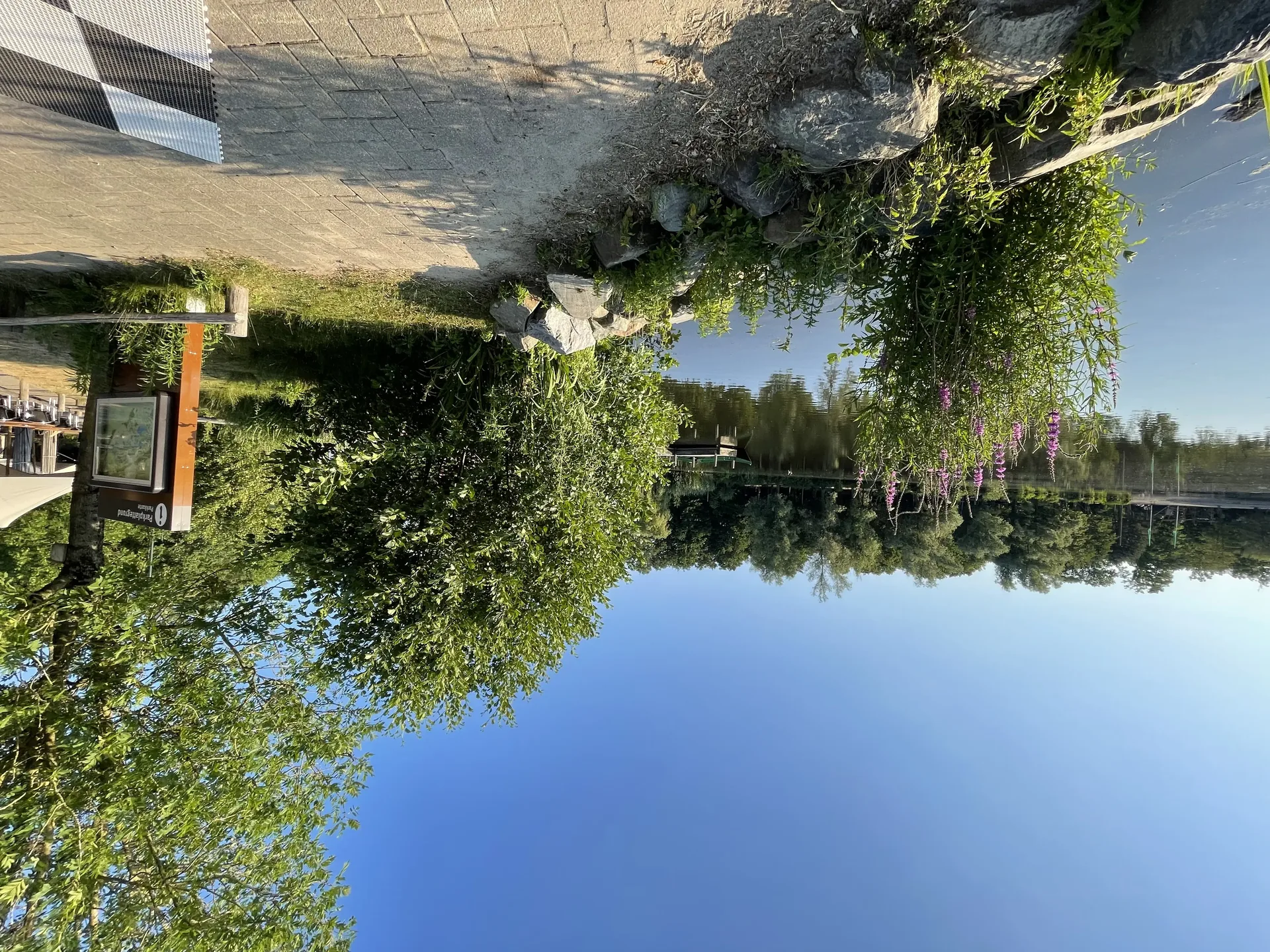 Blick über den See im Het Heijderbos