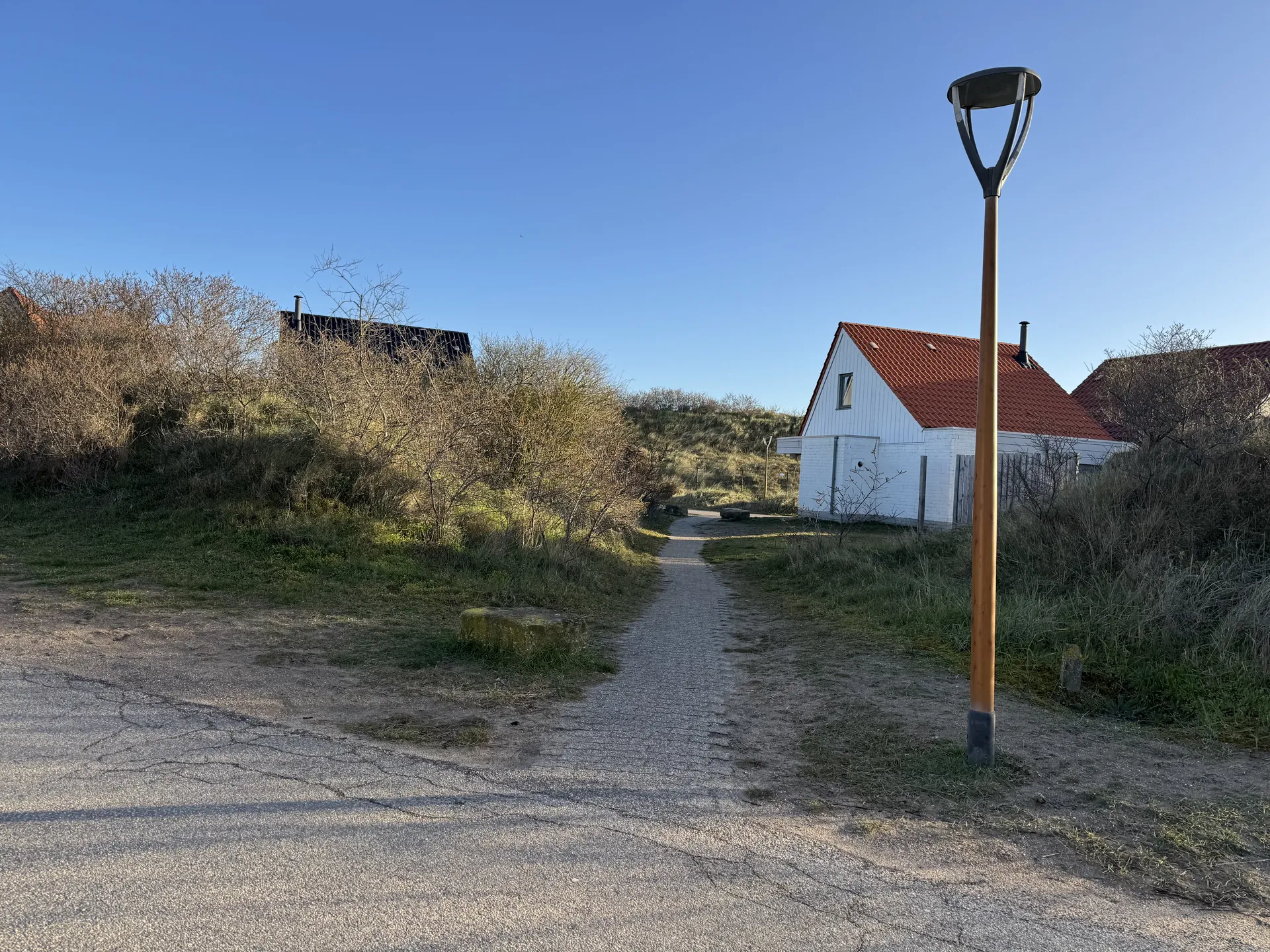Ferienhäuser in den Dünen des Park Zandvoort