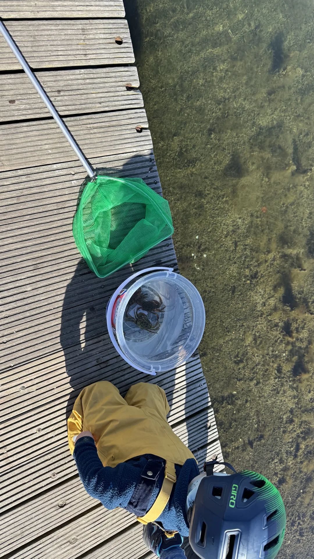 Unser Kleiner beim Krabbenfischen am Steg