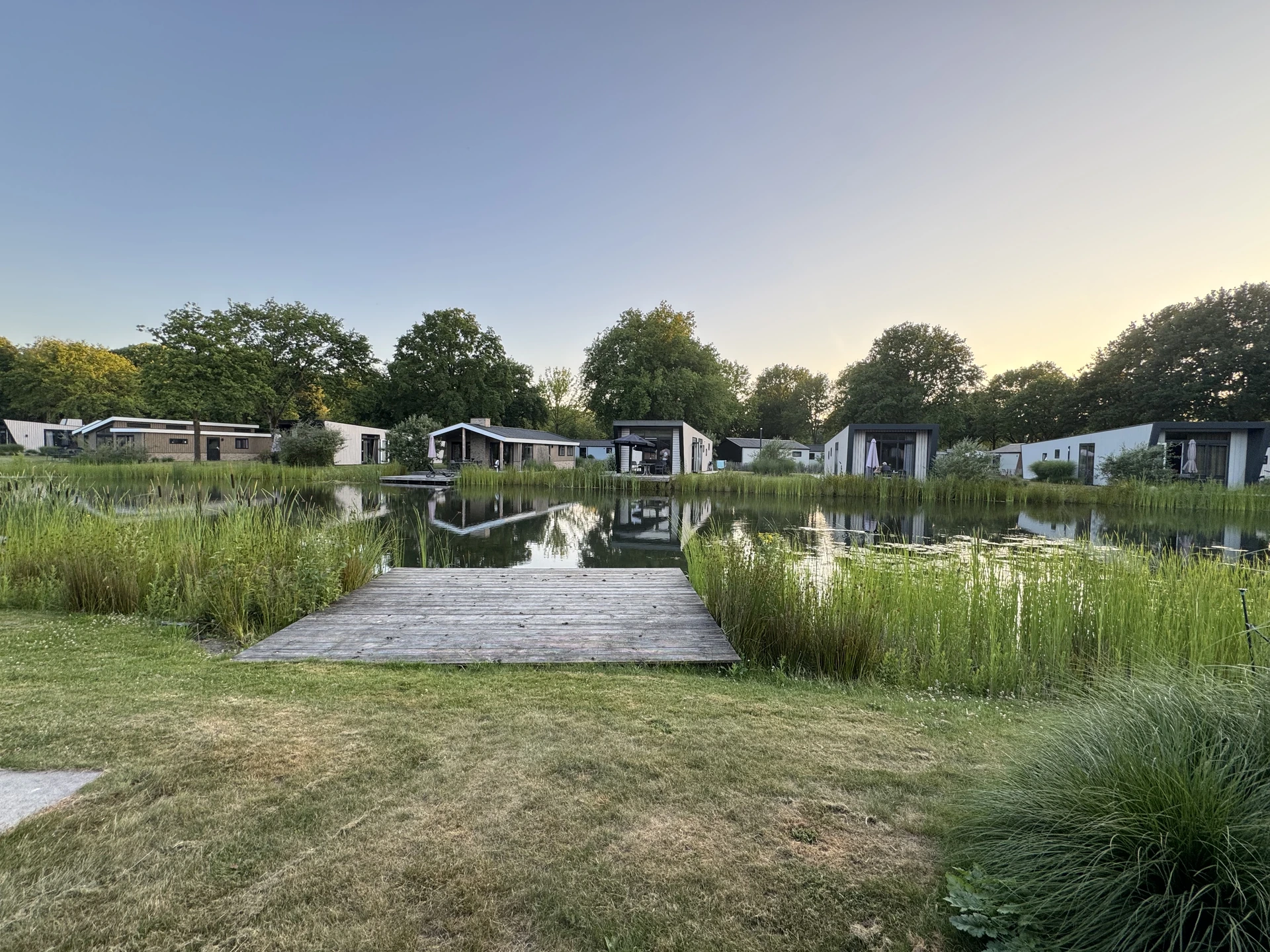 Angelegter Naturteich im EuroParcs Kaatsheuvel bei Abendlicht mit Holzsteg und modernen Chalets am Ufer