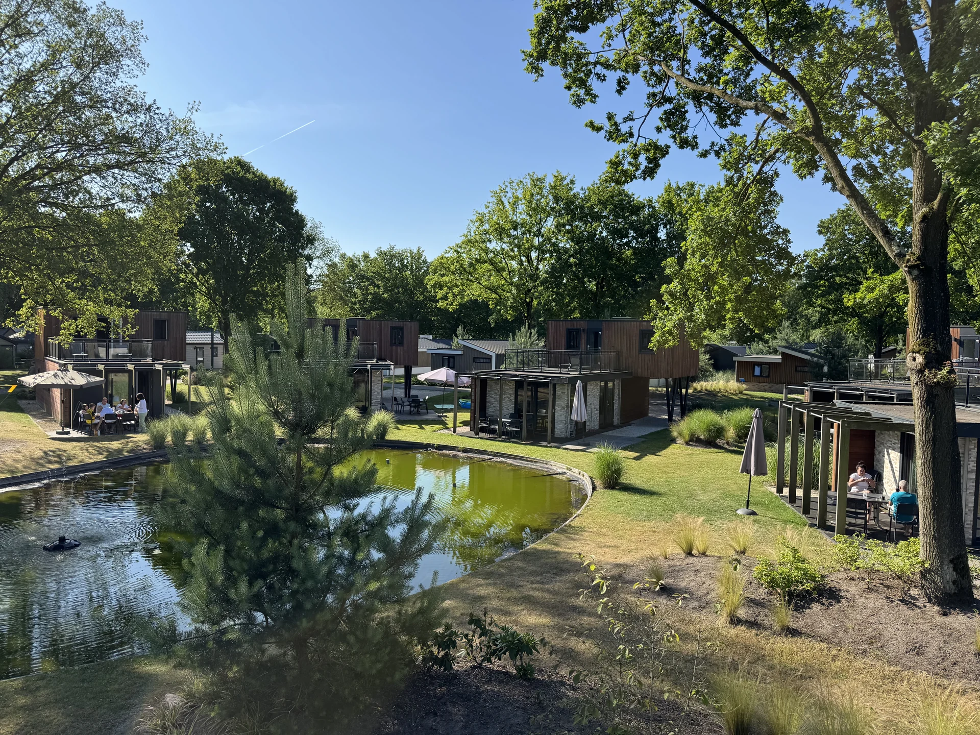 Moderne Holz-Lodges mit Dachterrassen rund um den angelegten Teich im EuroParcs Kaatsheuvel