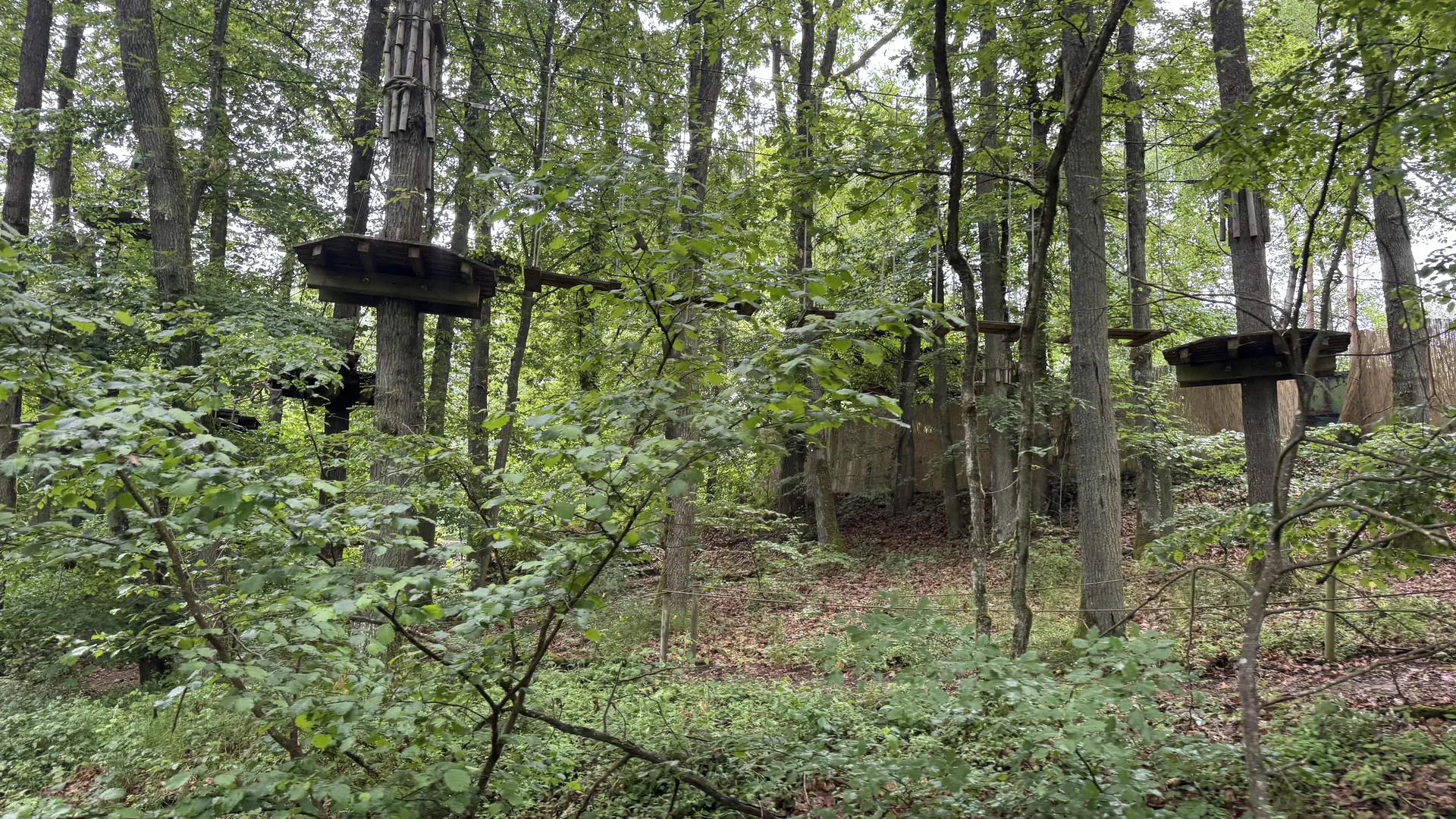 Der Kletterpark am Rand des Sonnenberg-Geländes
