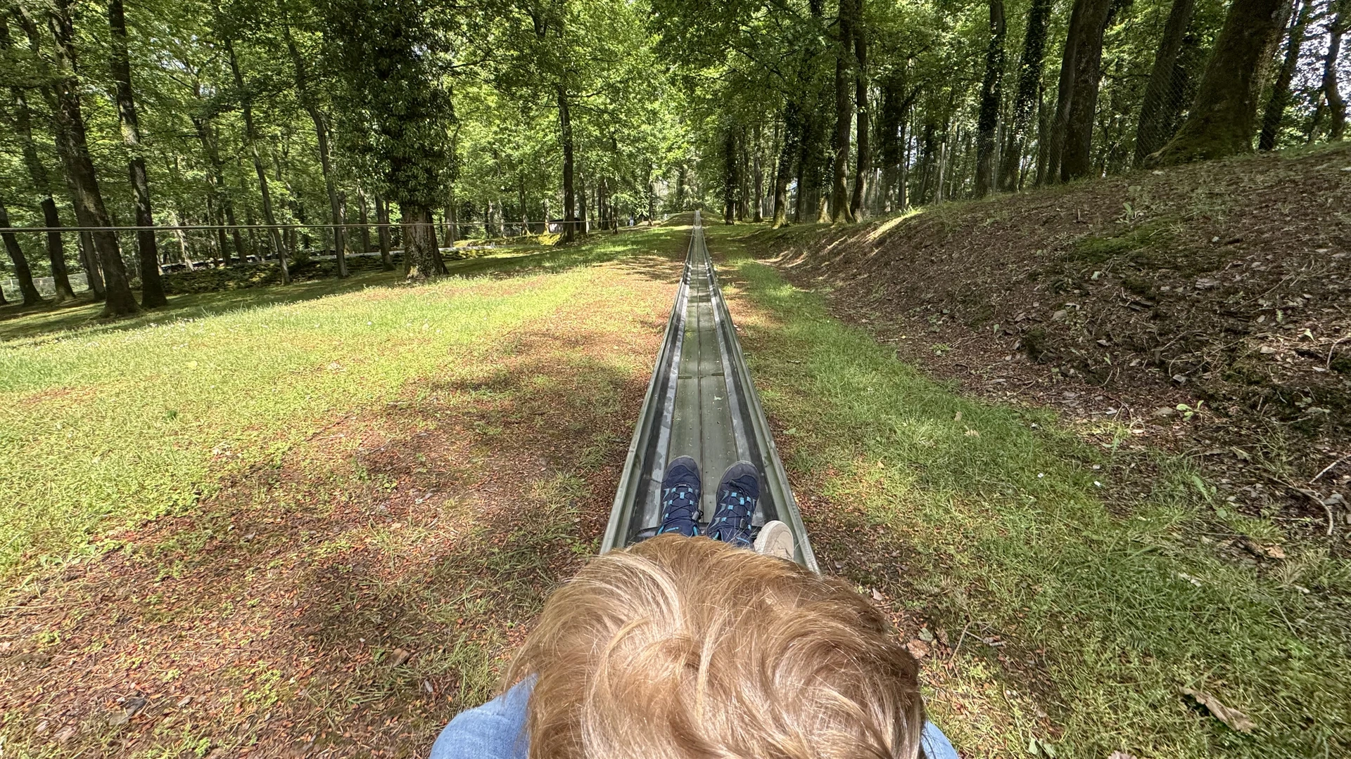 Der Große auf der Sommerrodelbahn - Tagesfüller-Highlight für den 7-Jährigen