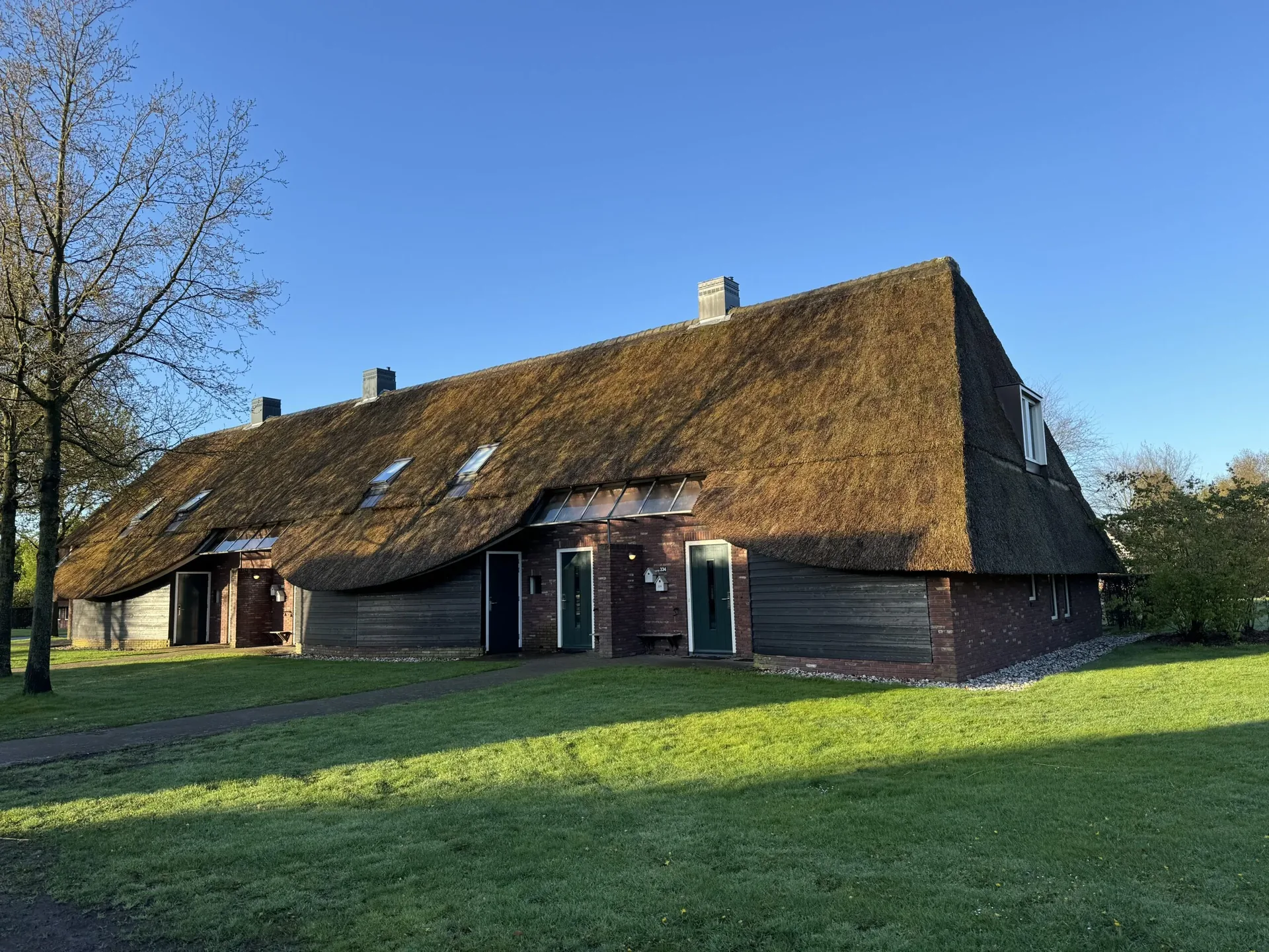 Reetdach-Bauernhäuser im Landal Hof van Saksen zwischen den Wiesen