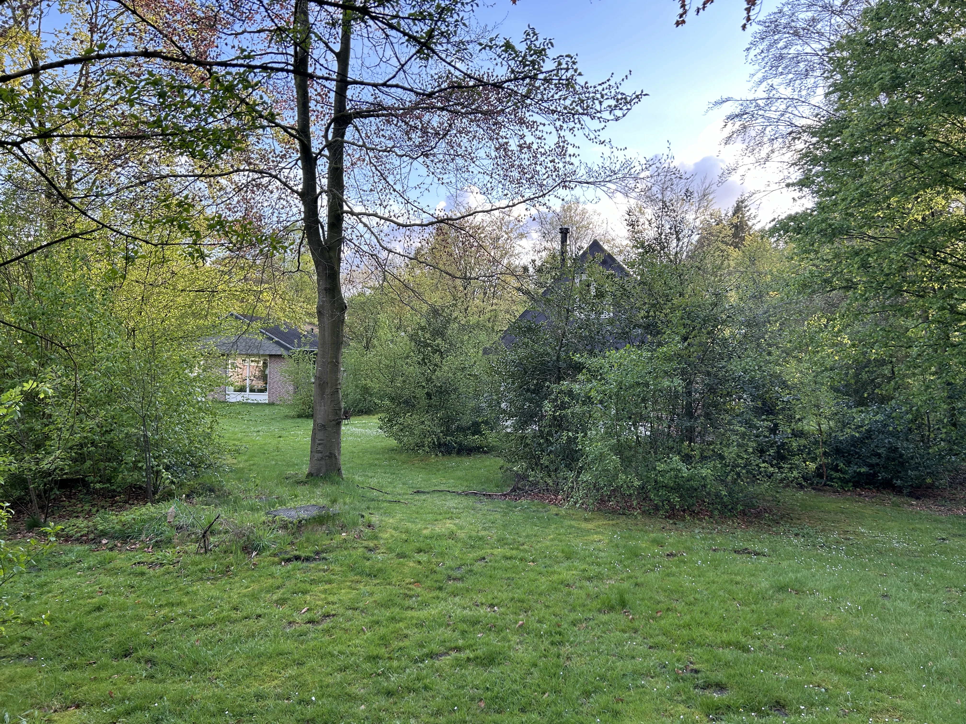 Der Blick aus dem Garten in die Natur