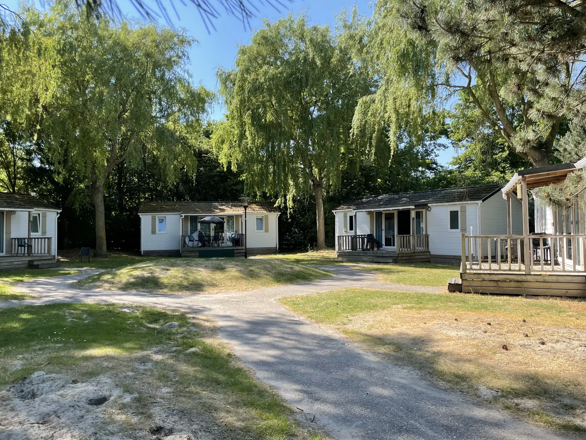 Mobile Homes im hinteren Parkbereich - dicht beieinander unter Bäumen