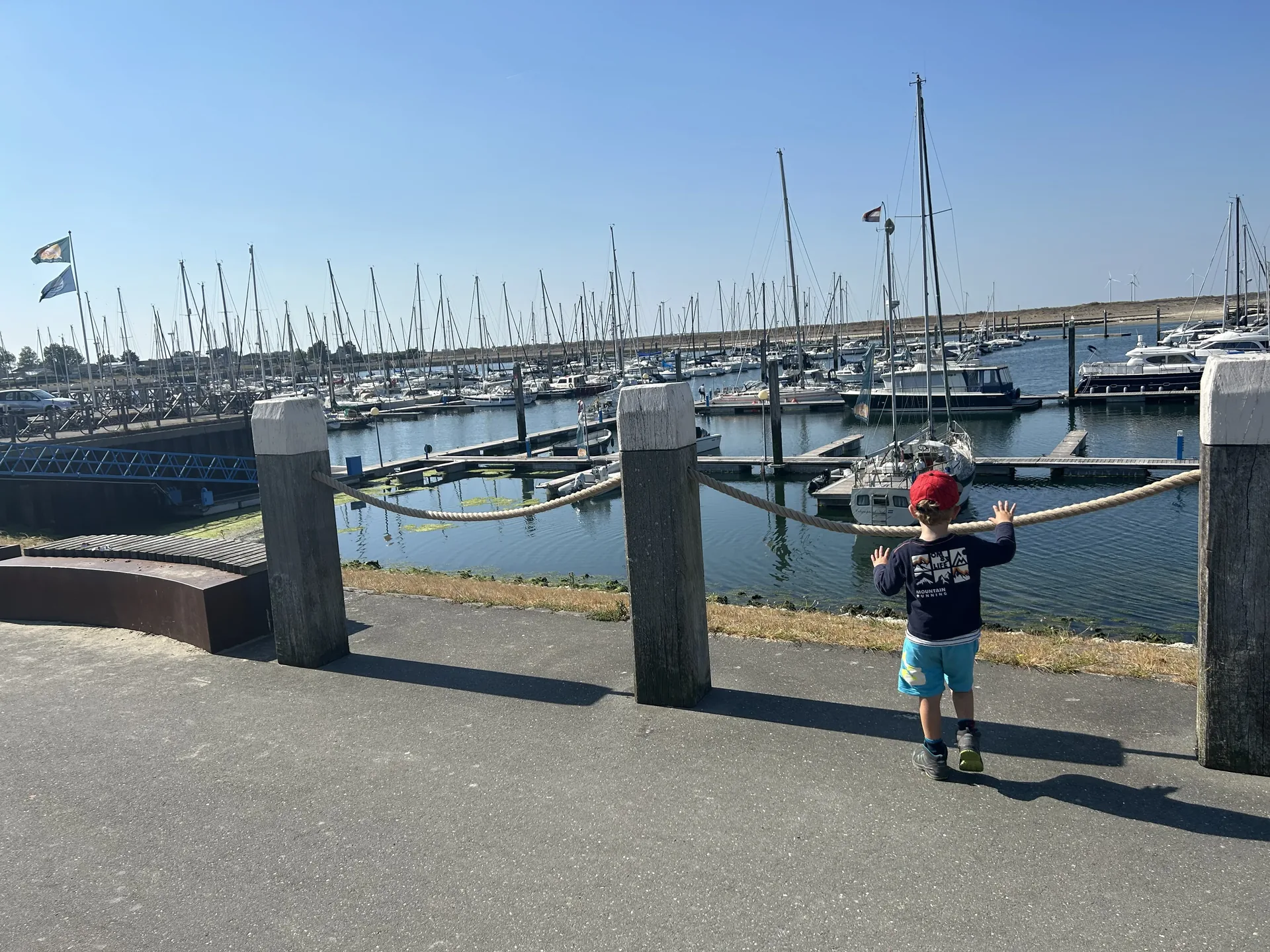 Der Hafen direkt neben dem Park