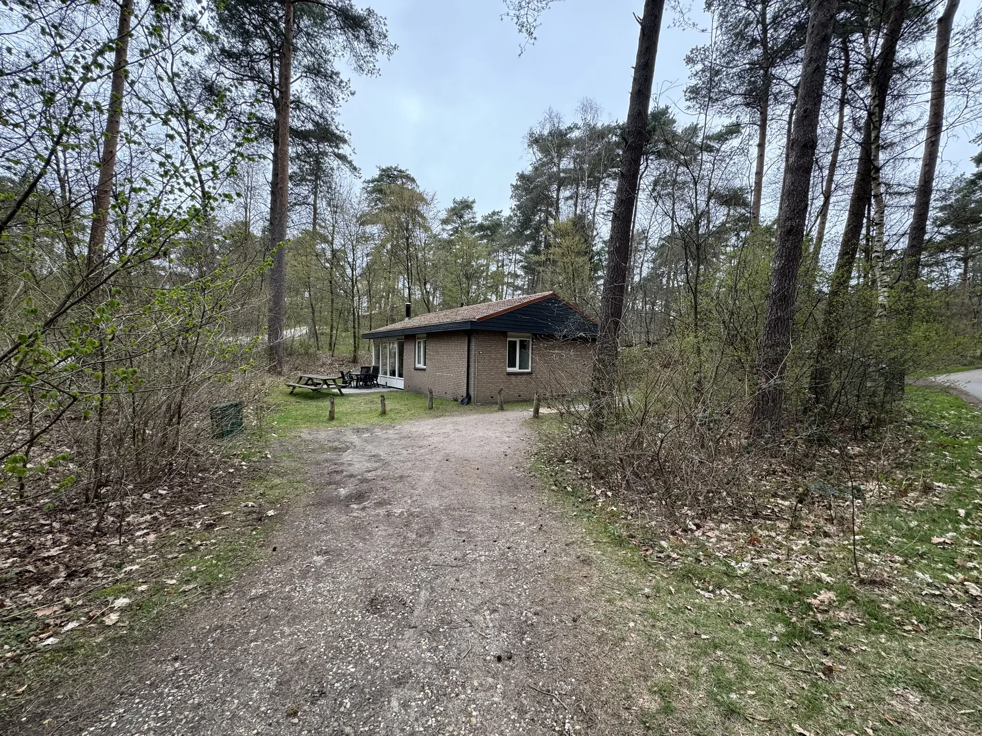 Ferienhaus im Wald des Landal Coldenhove