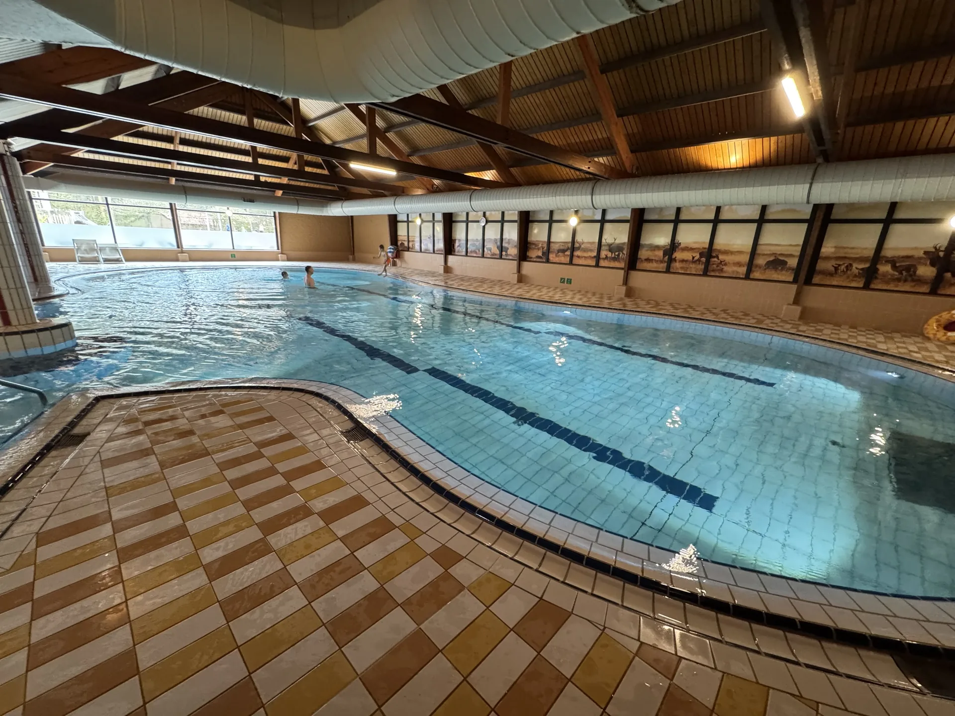 Großes Schwimmbecken mit Liegestühlen im Coldenhove