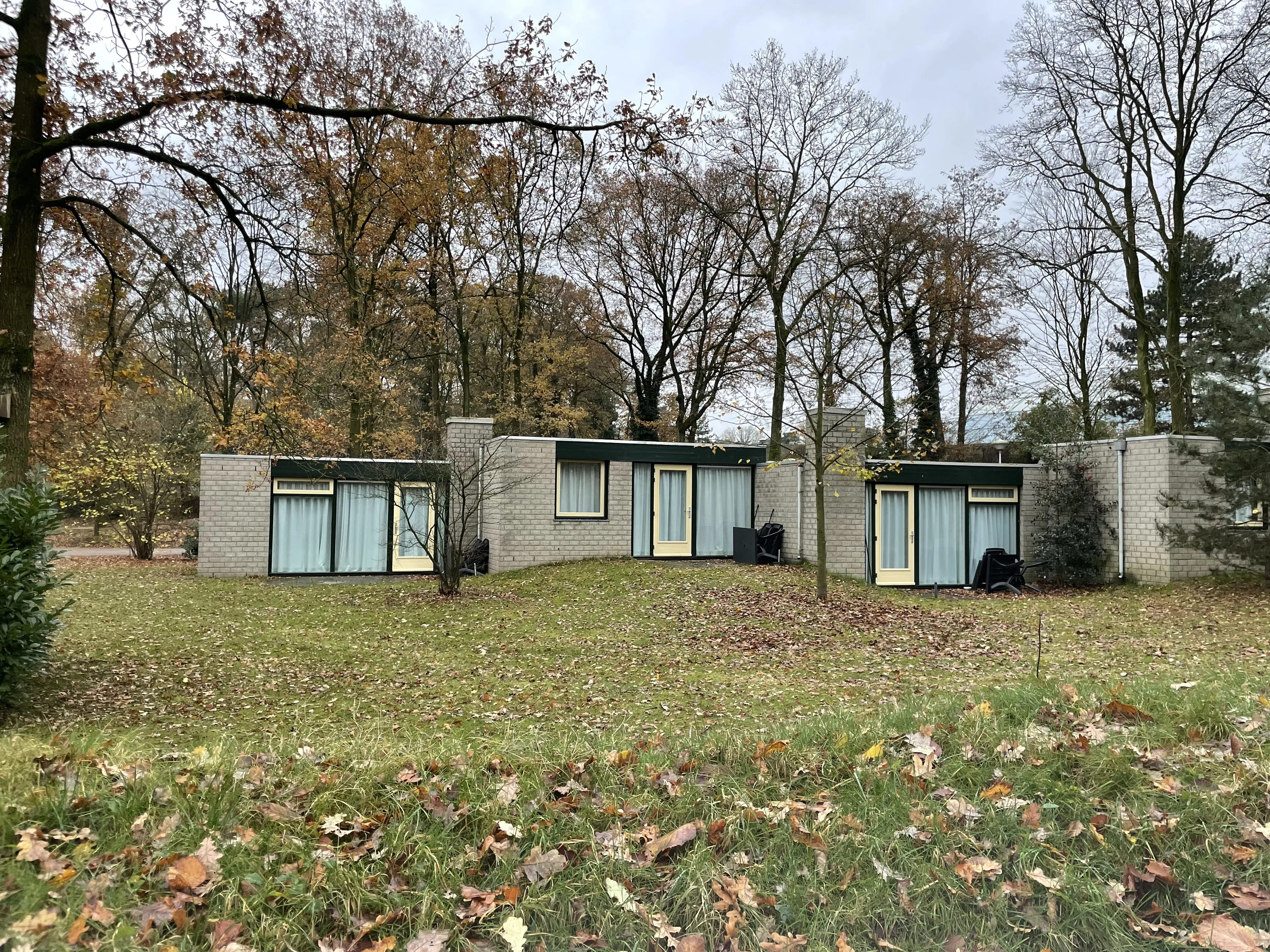 Der De Lommerbergen im Herbst