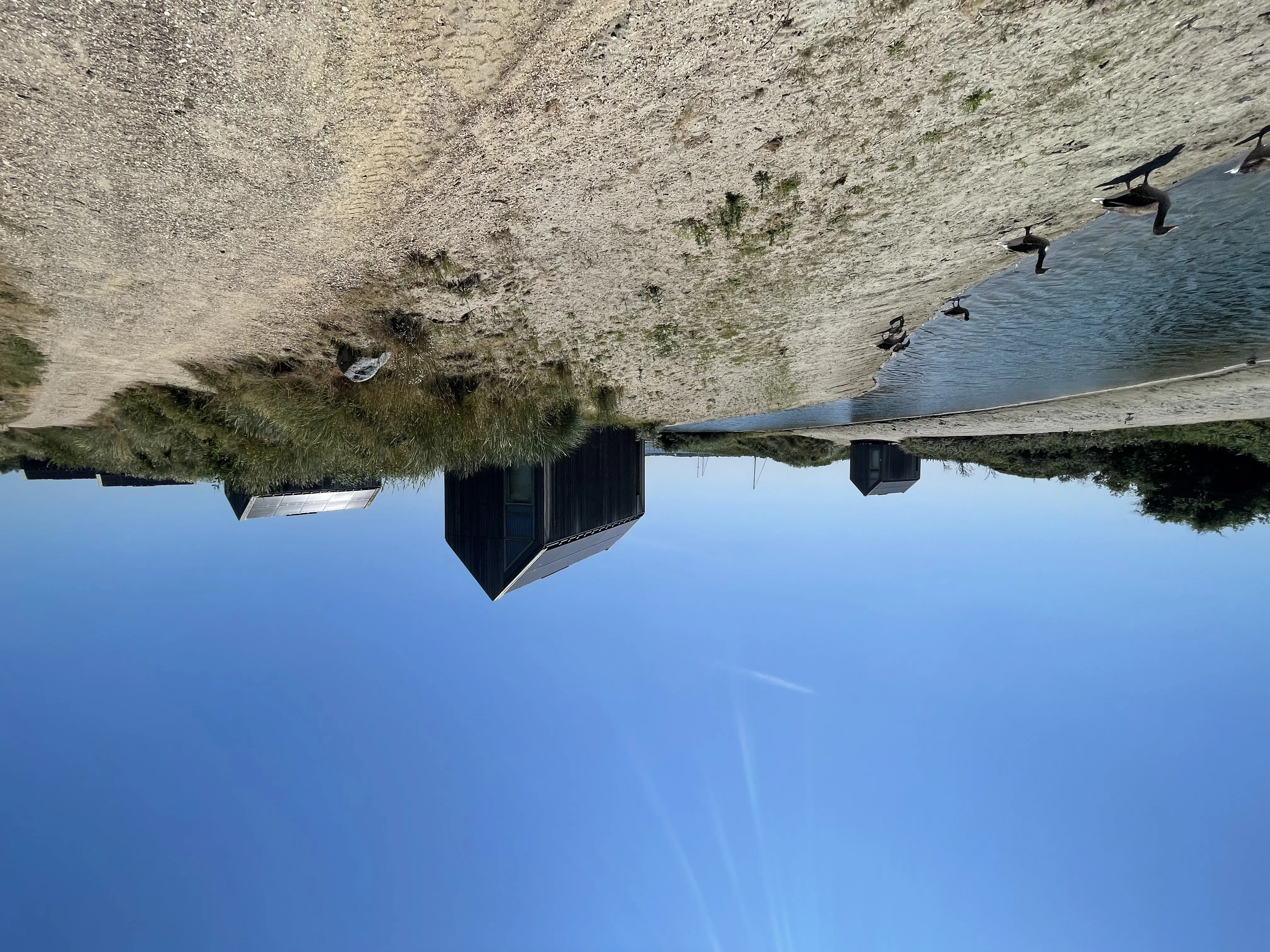 Tiny House mit Enten an der Lagune