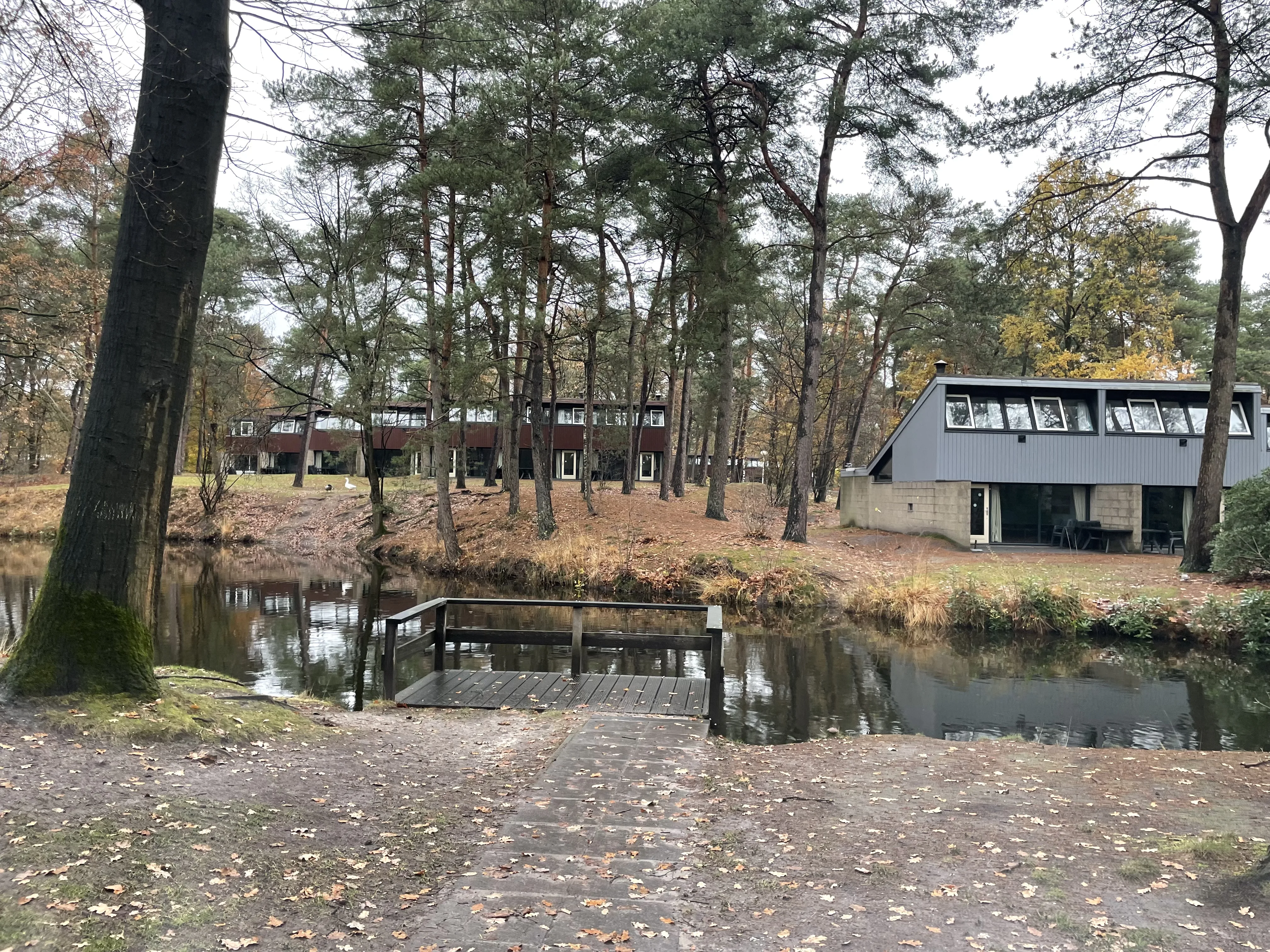 Die Ferienhäuser am See – typischer Center-Parcs-Bungalow-Stil