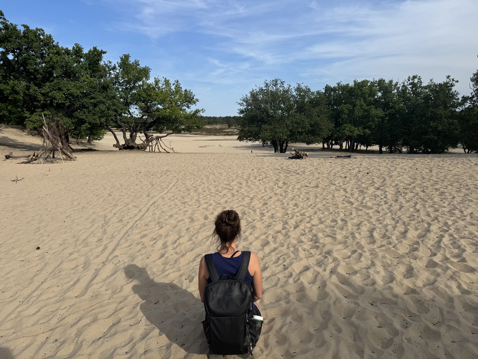 Weite offene Sandfläche im Nationalpark De Loonse en Drunense Duinen mit Eichen und Kiefern am Rand