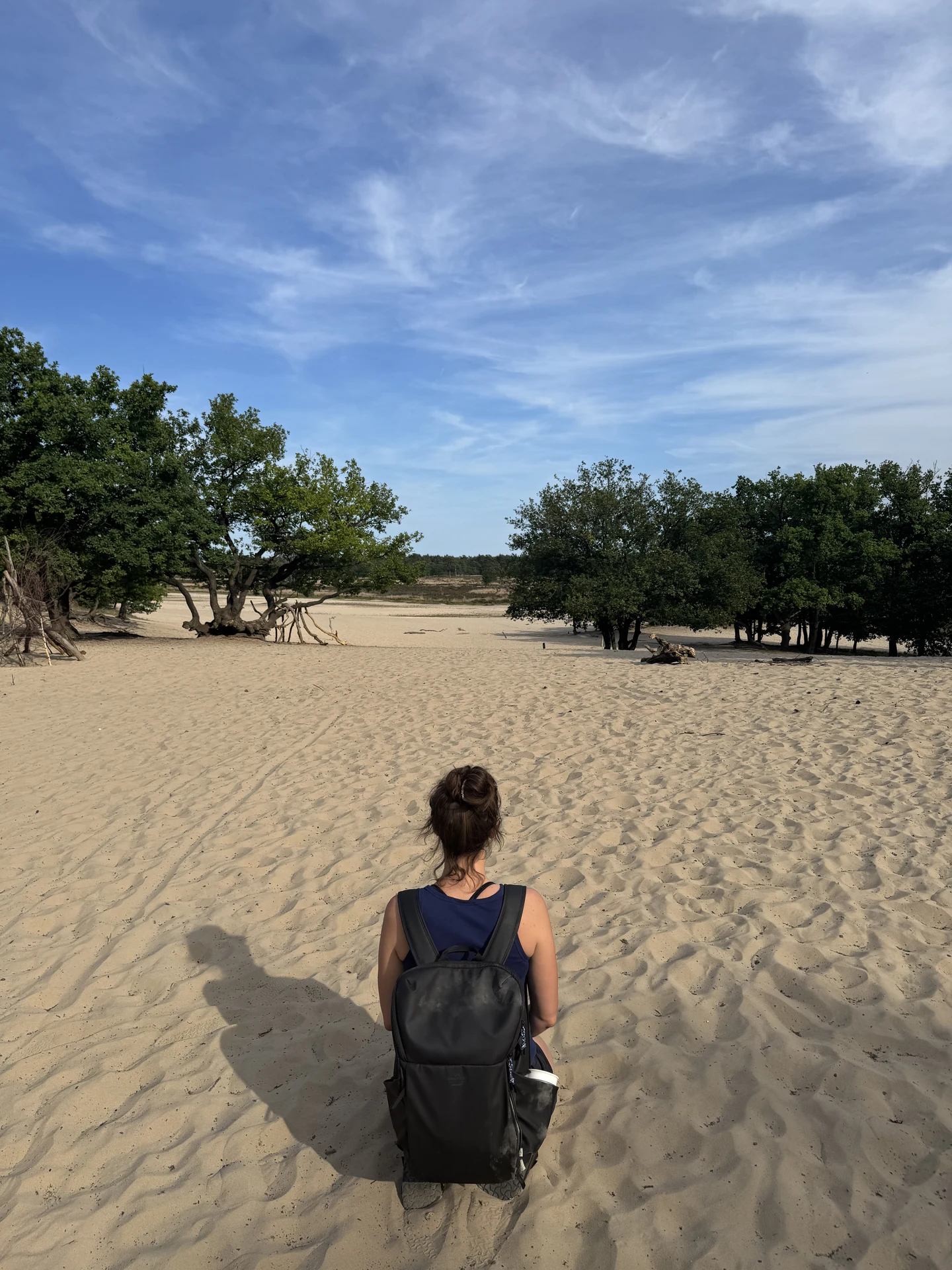 Wanderin mit Rucksack geht über die offene Sandfläche im Nationalpark De Loonse en Drunense Duinen, am Rand alte Eichen mit freigelegten Wurzeln