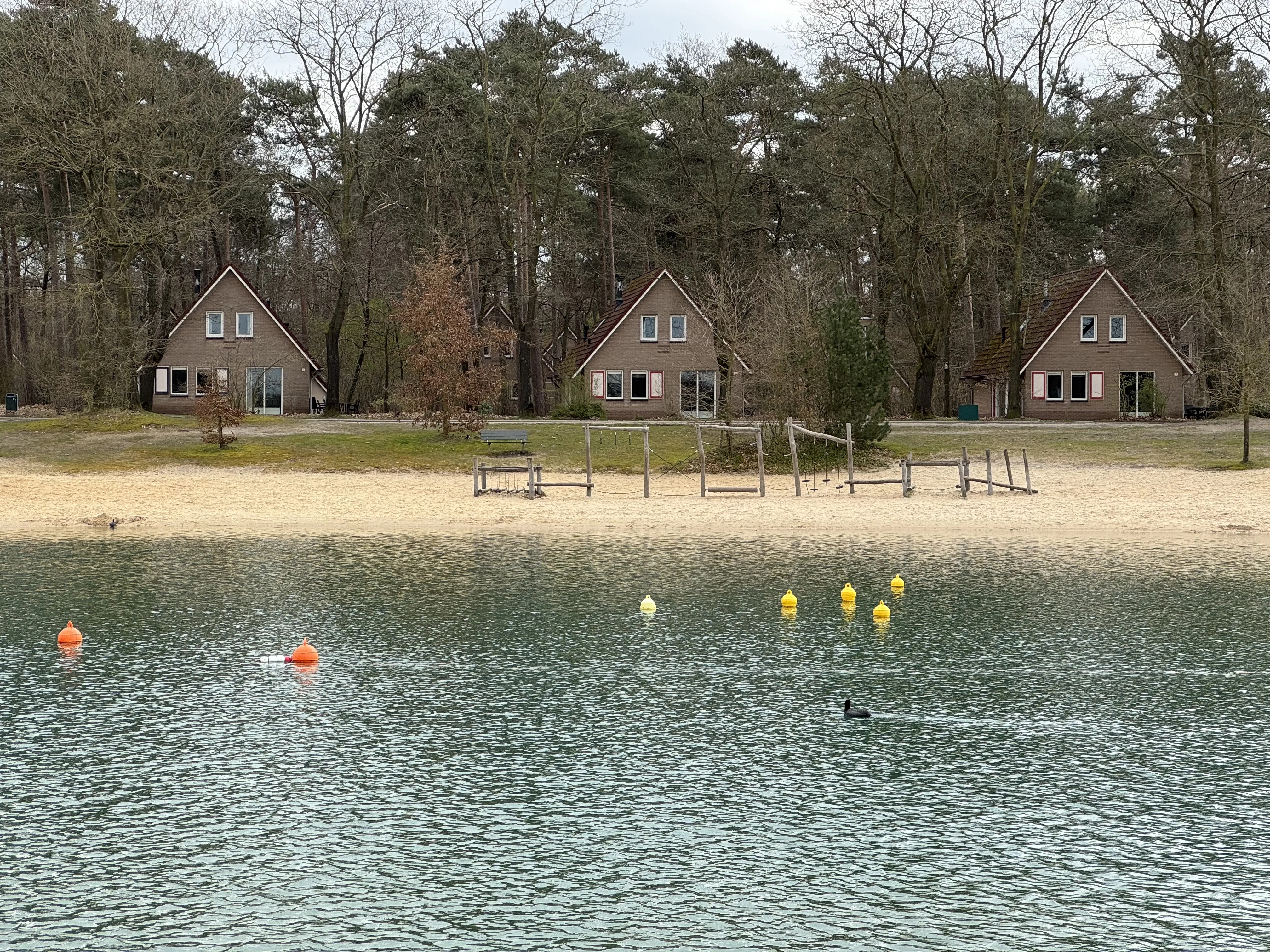 Ferienhäuser am Freizeitsee im Landal Landgoed 't Loo auf der Veluwe