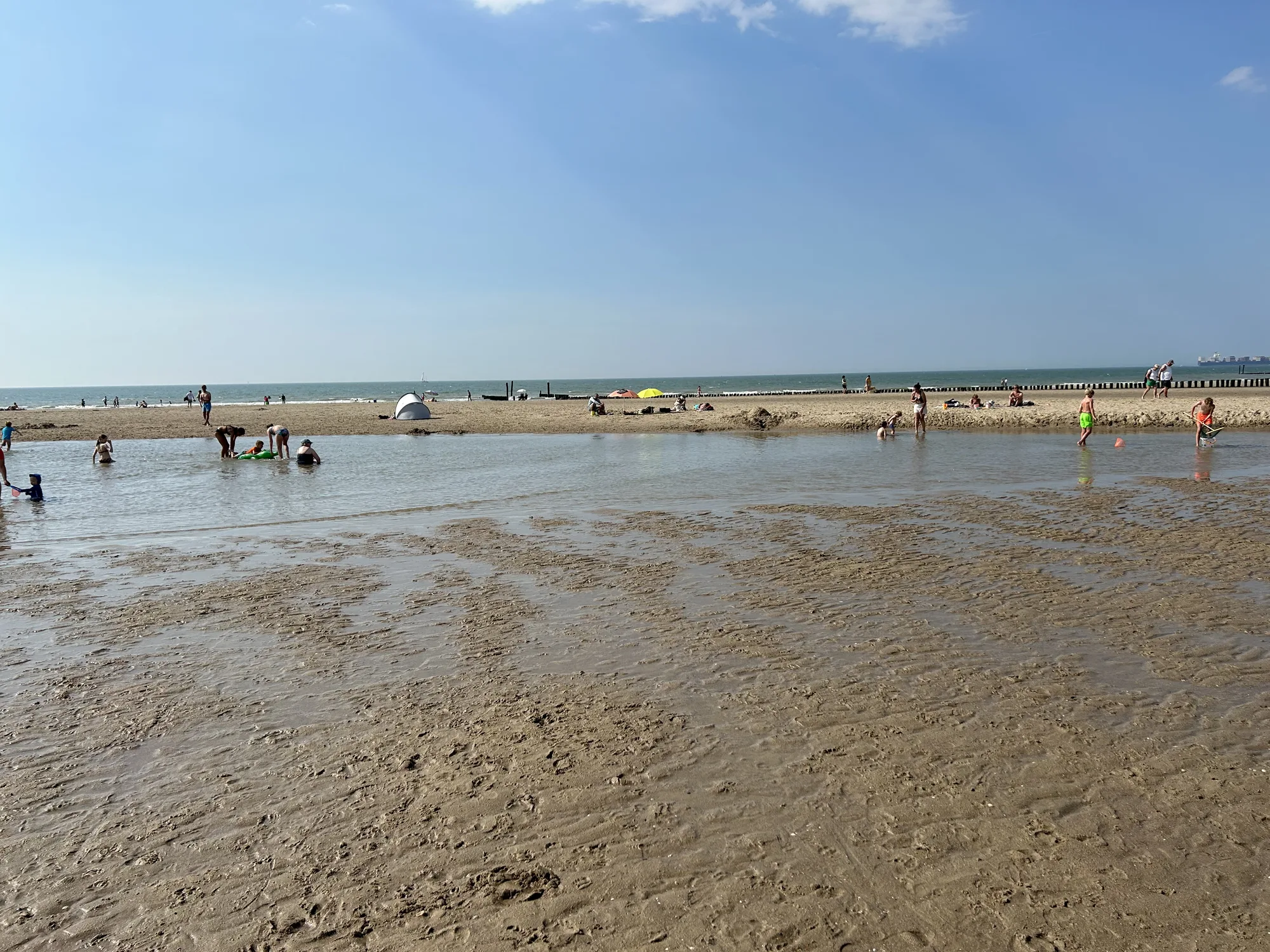 Kinder spielen im flachen Priel bei Ebbe