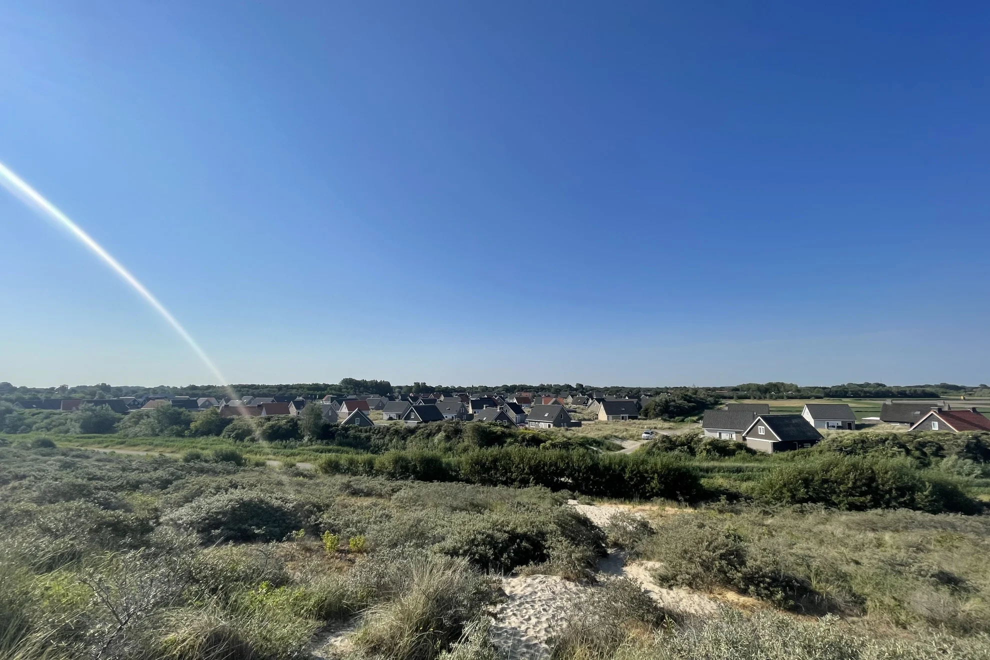 Dünenlandschaft an der niederländischen Küste